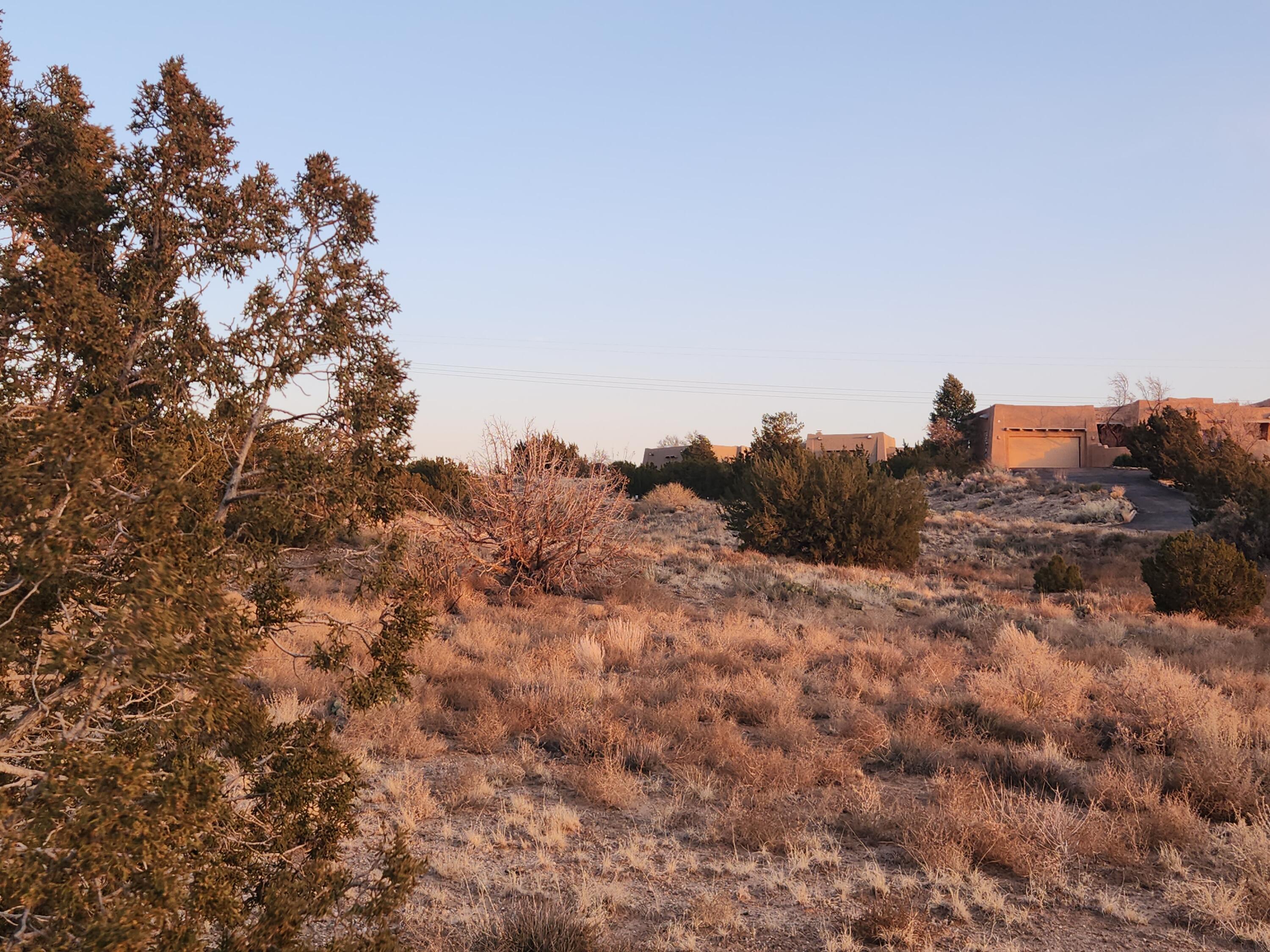 2 Alexi Pl Pl, Placitas, New Mexico image 13