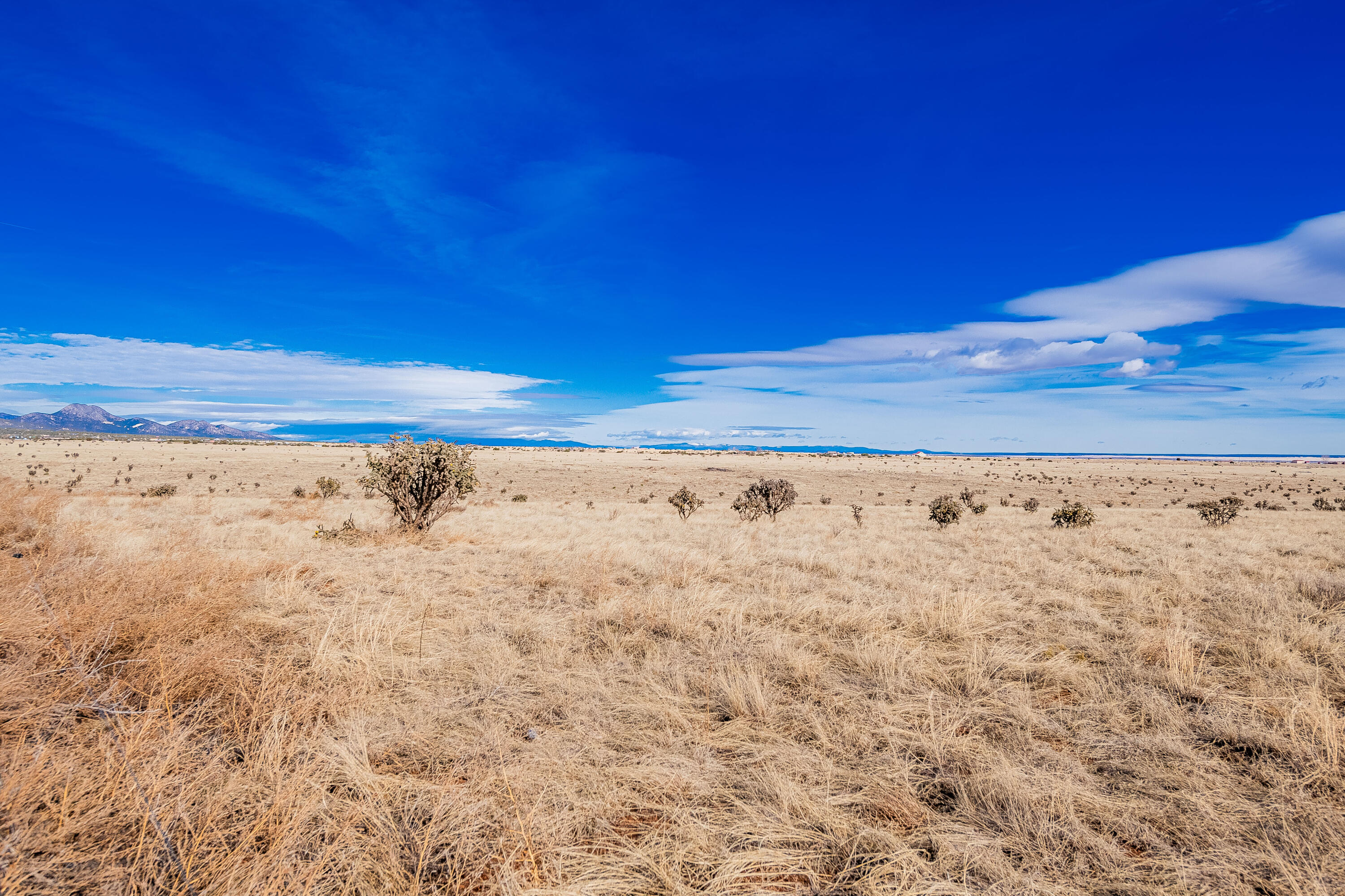 113 Nm 472, Edgewood, New Mexico image 9