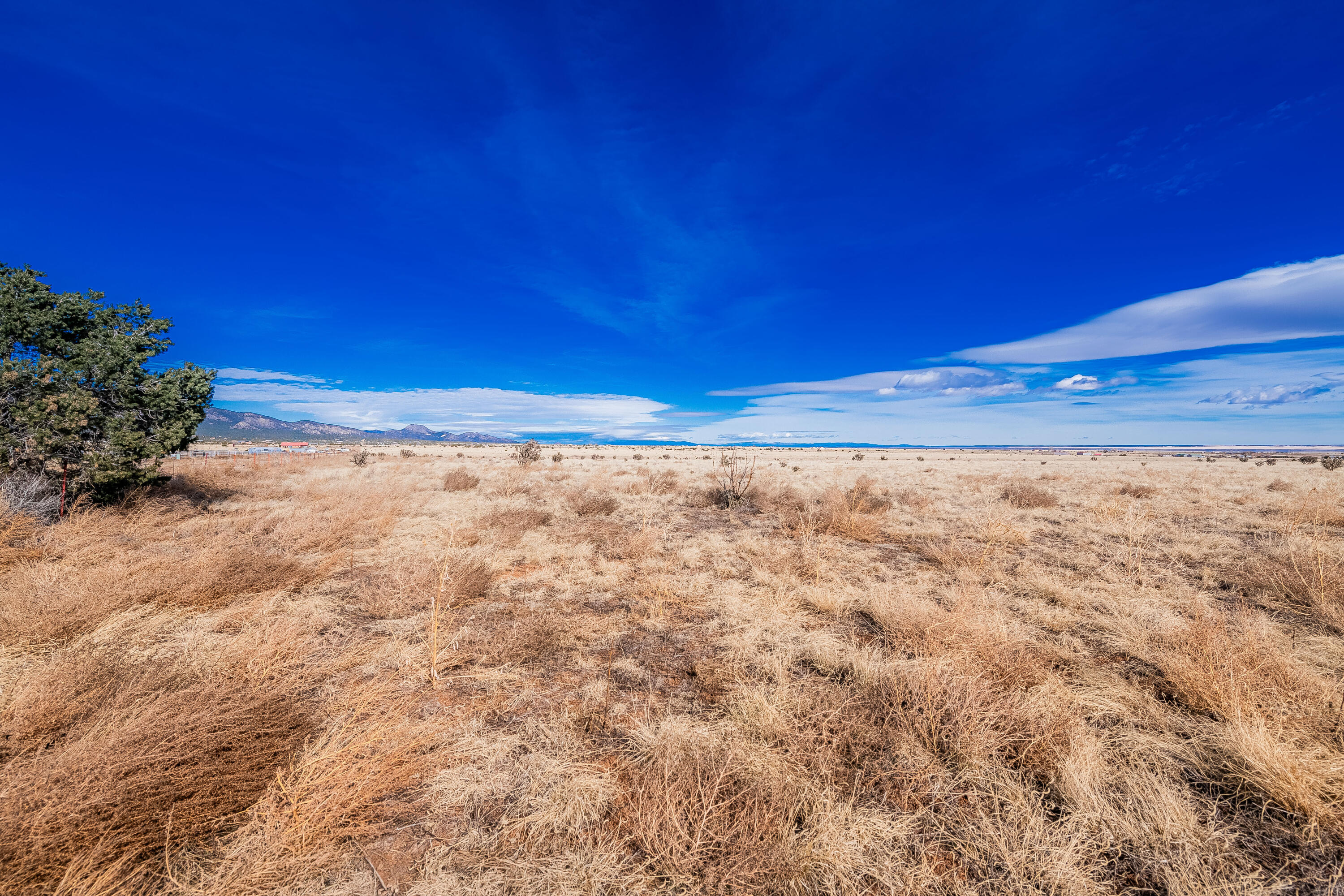 113 Nm 472, Edgewood, New Mexico image 5