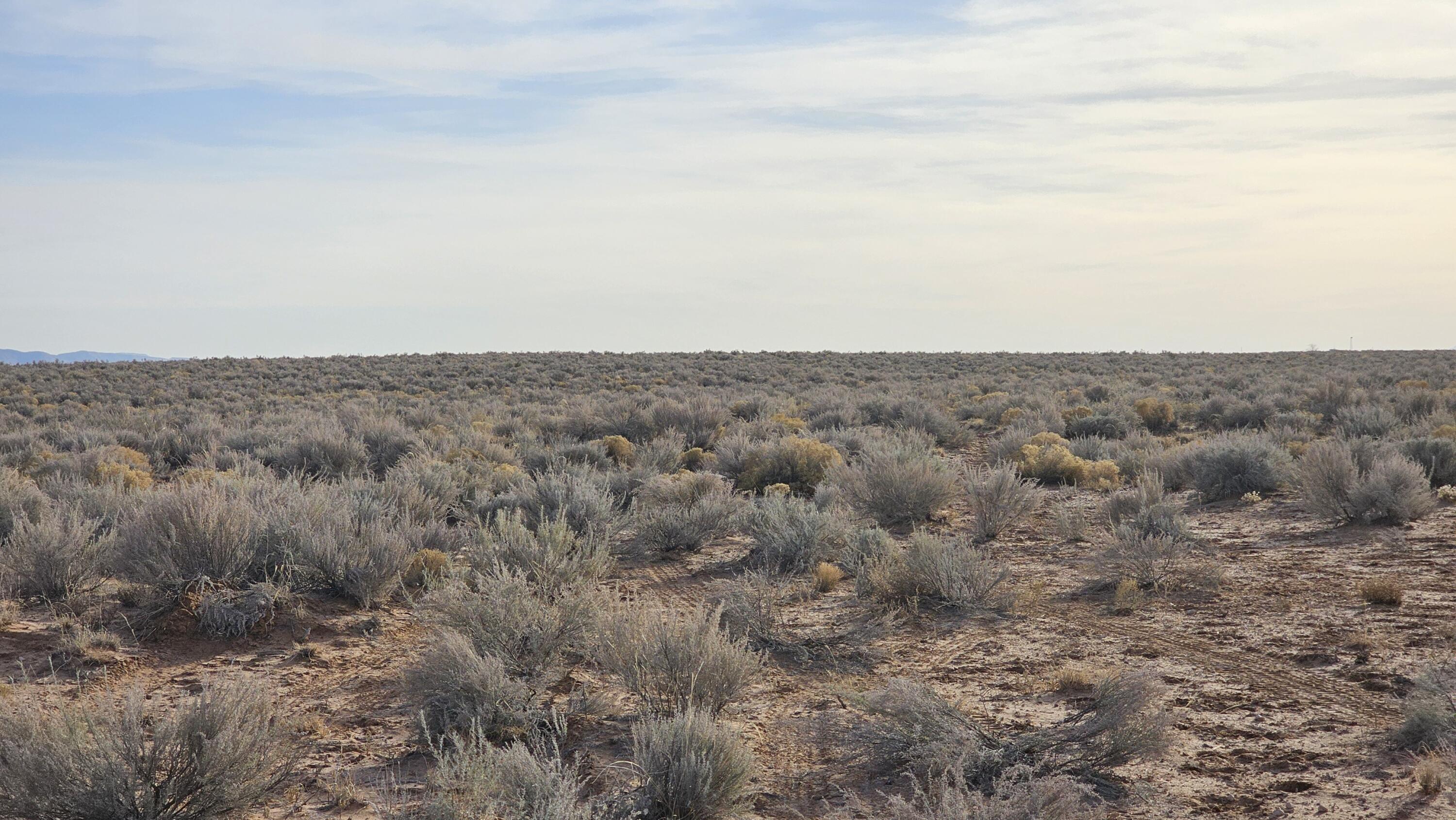 VL Rge Lot 1 Block: 129 #UNIT 6, Belen, New Mexico image 8