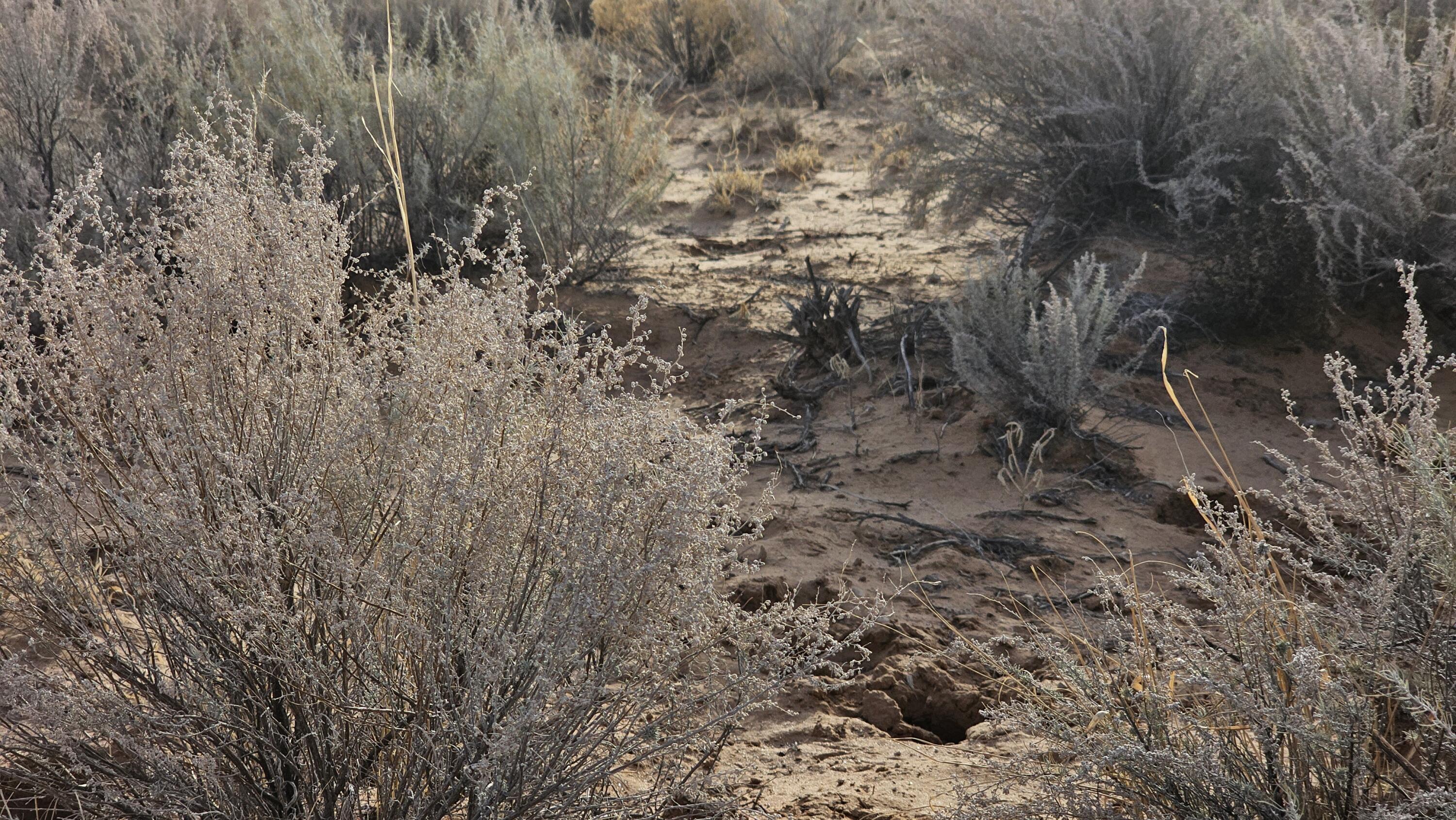 VL Rge Lot 1 Block: 129 #UNIT 6, Belen, New Mexico image 3