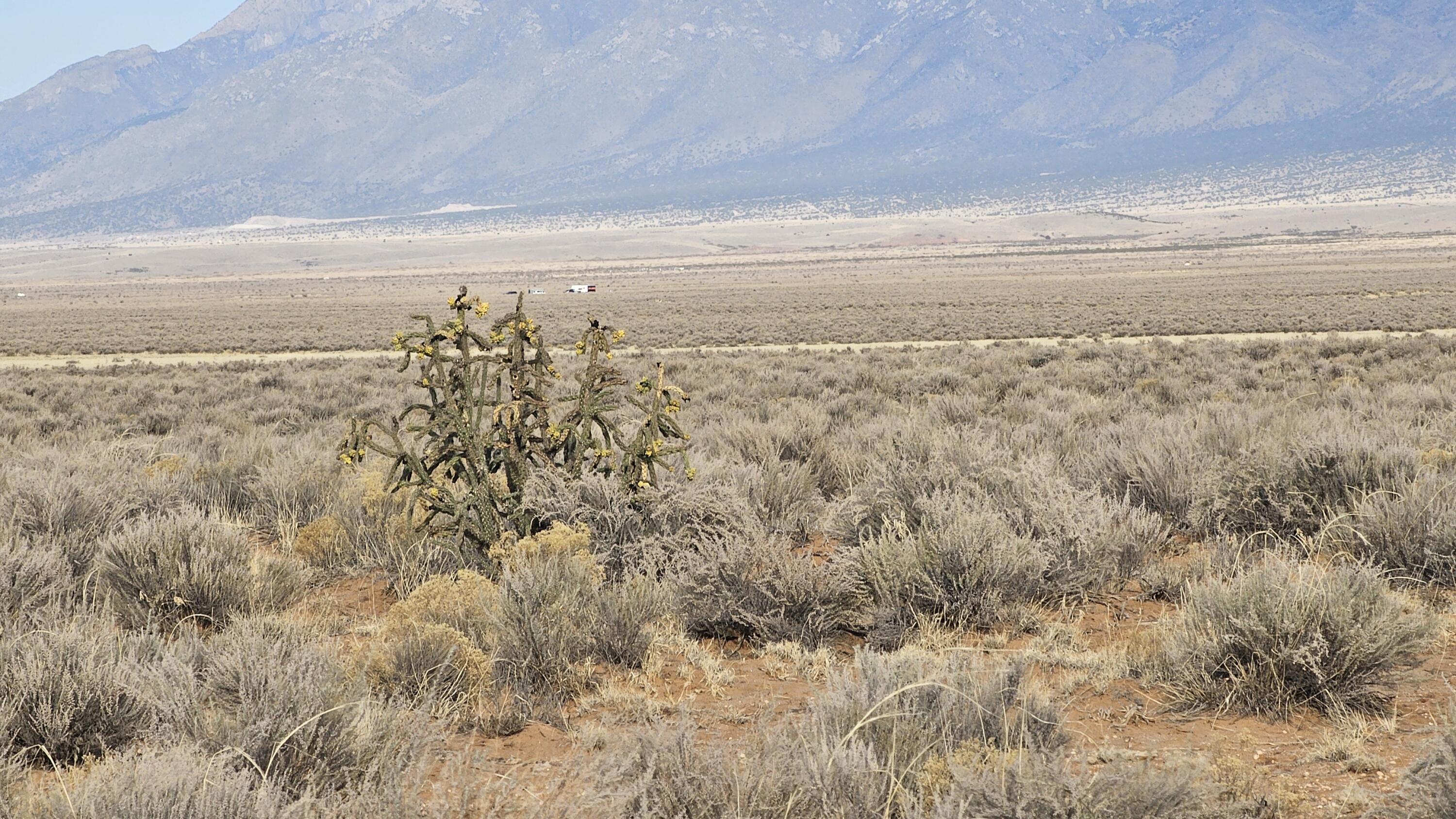 VL Rge Lot 1 Block: 129 #UNIT 6, Belen, New Mexico image 16