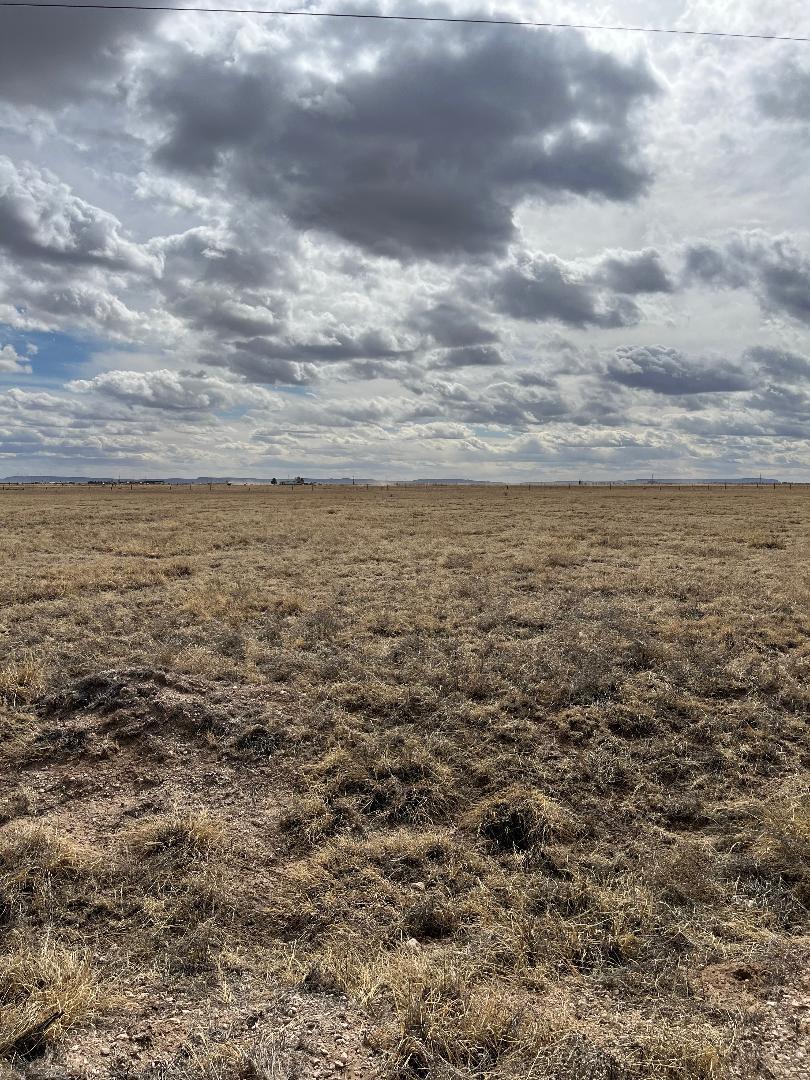 Cricket Lane Lot 19, Estancia, New Mexico image 1