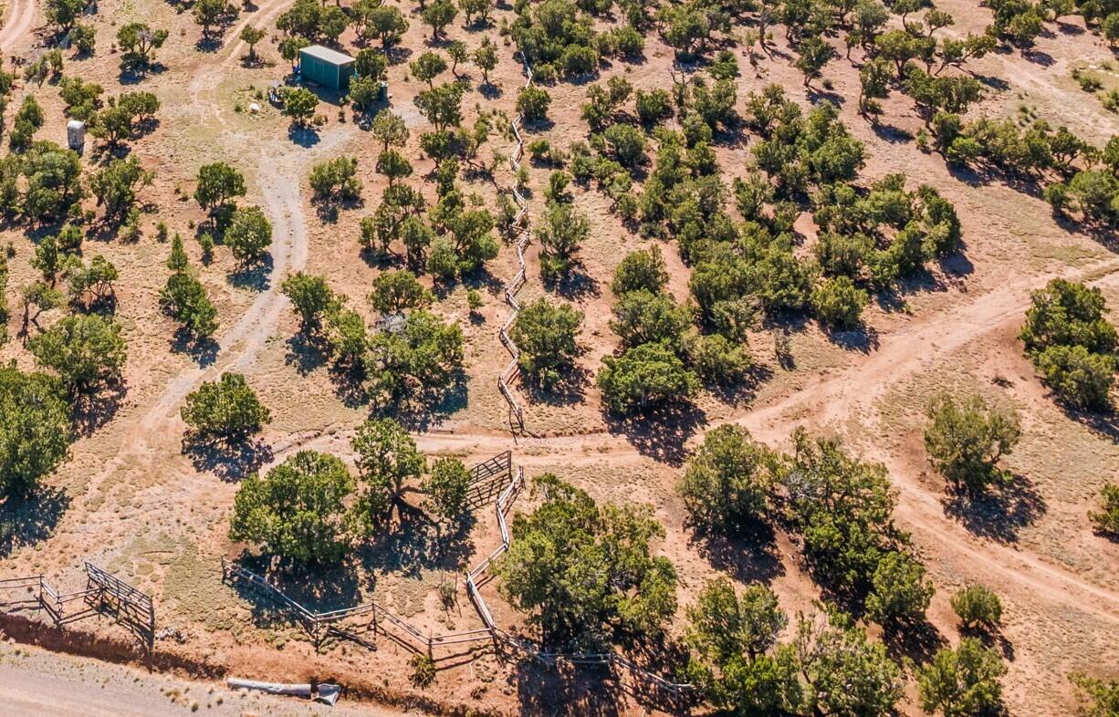 Lot 0 Pinon Ridge, Sandia Park, New Mexico image 1