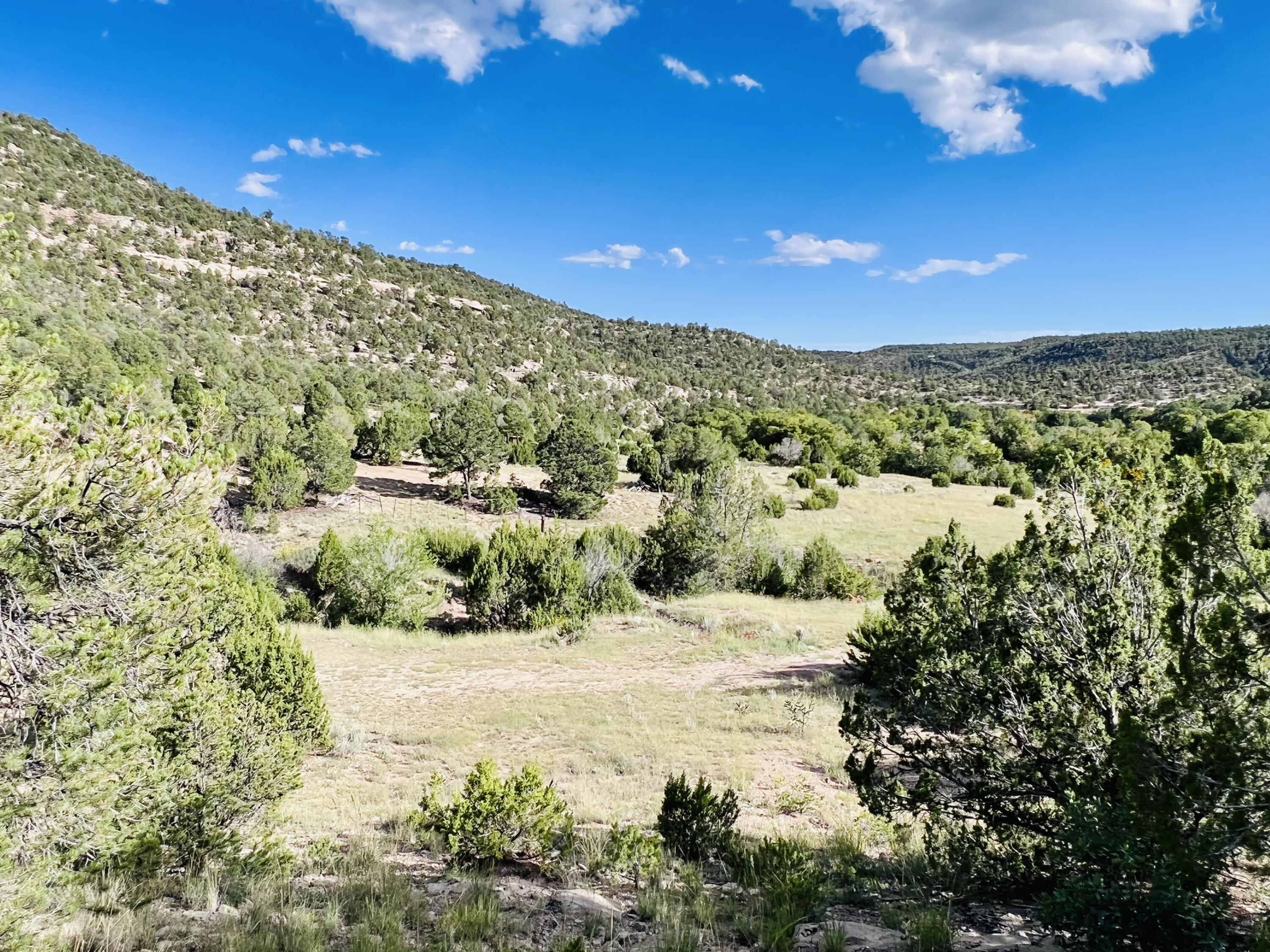 642 Co Rd B43b, Ilfeld, New Mexico image 8