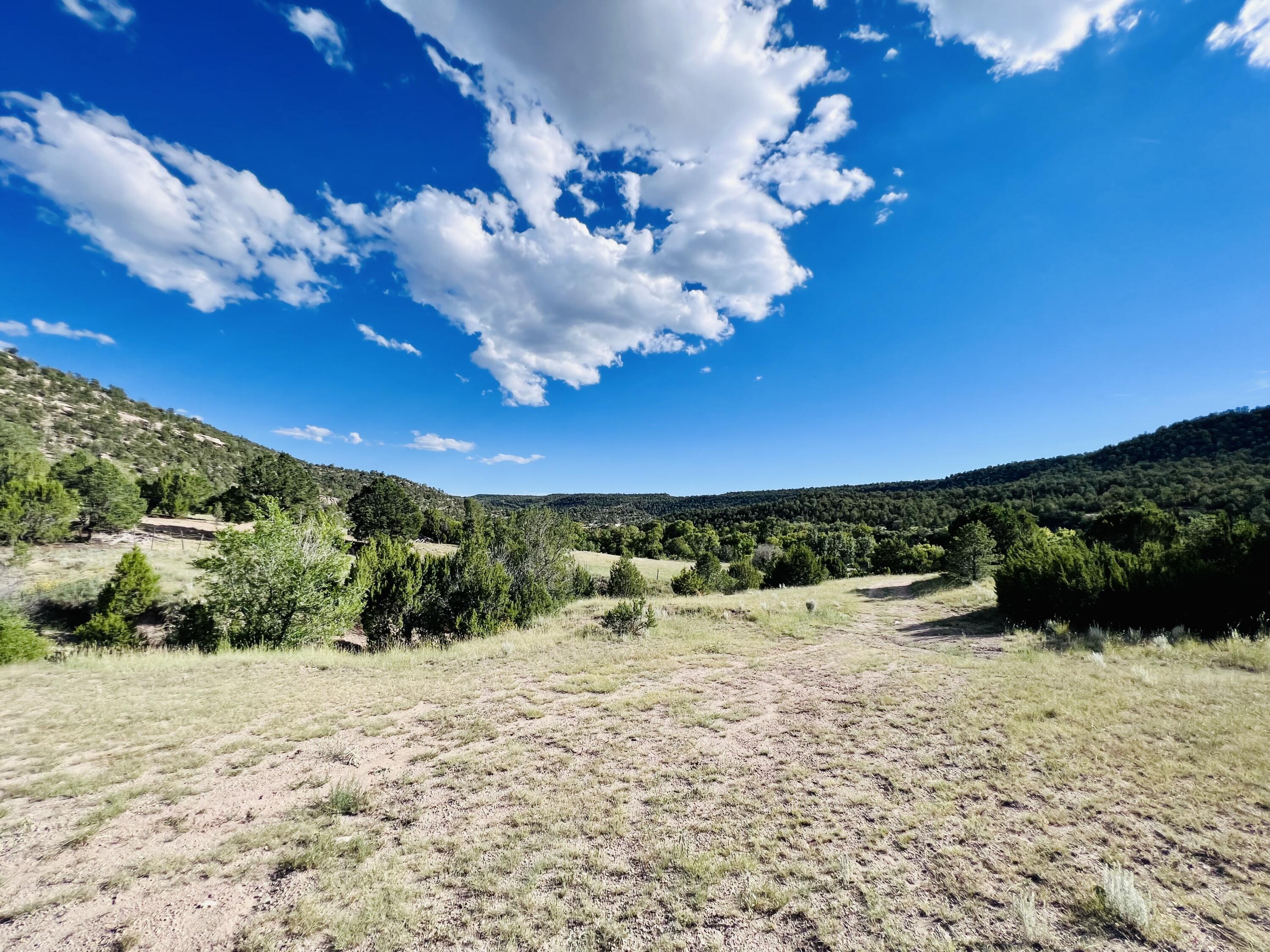 642 Co Rd B43b, Ilfeld, New Mexico image 7