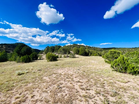 Vacant Land For Sale - 642 Co Rd B43b<br/> San Miguel County, Ilfeld, NM 87538