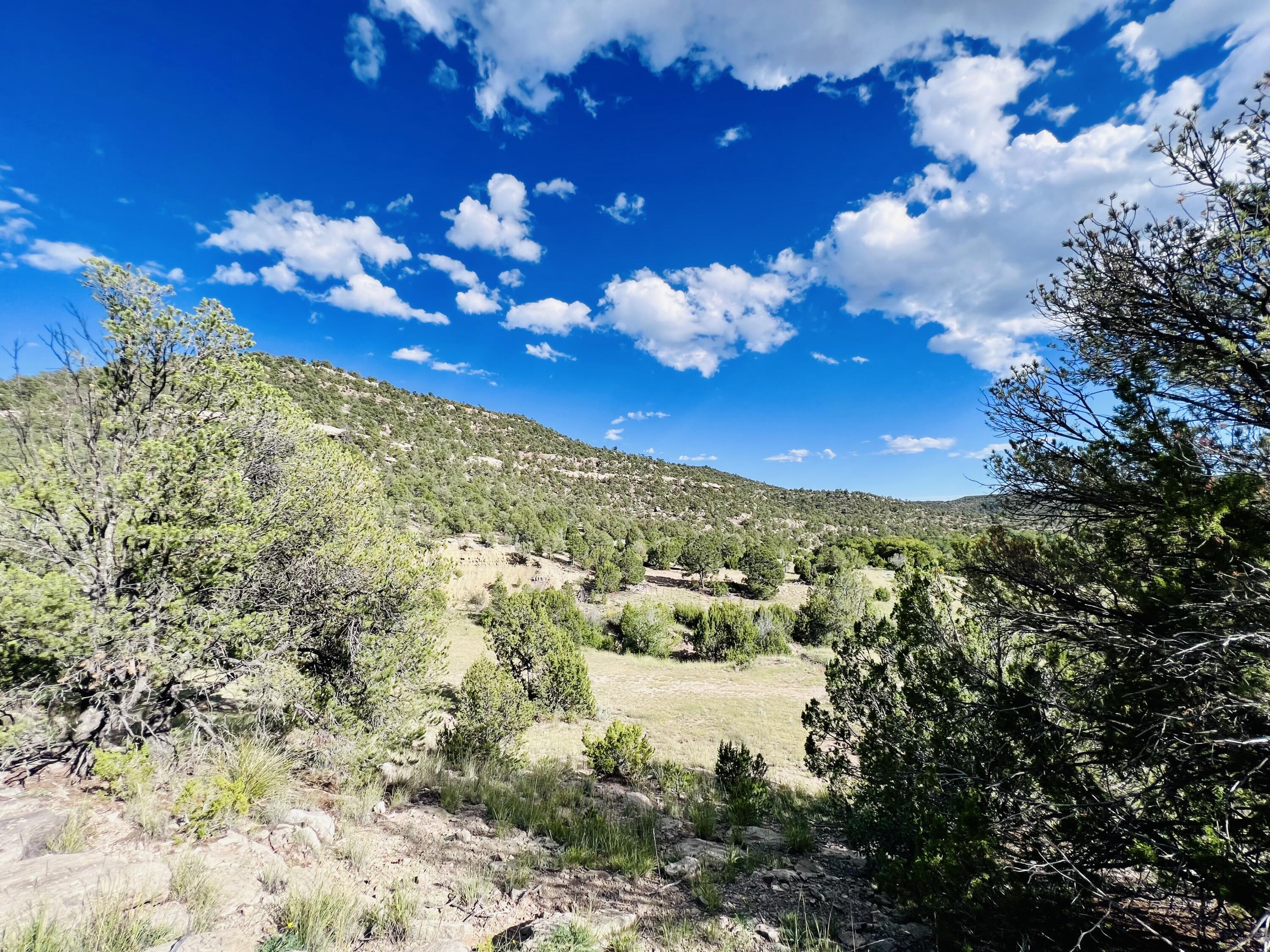 642 Co Rd B43b, Ilfeld, New Mexico image 9