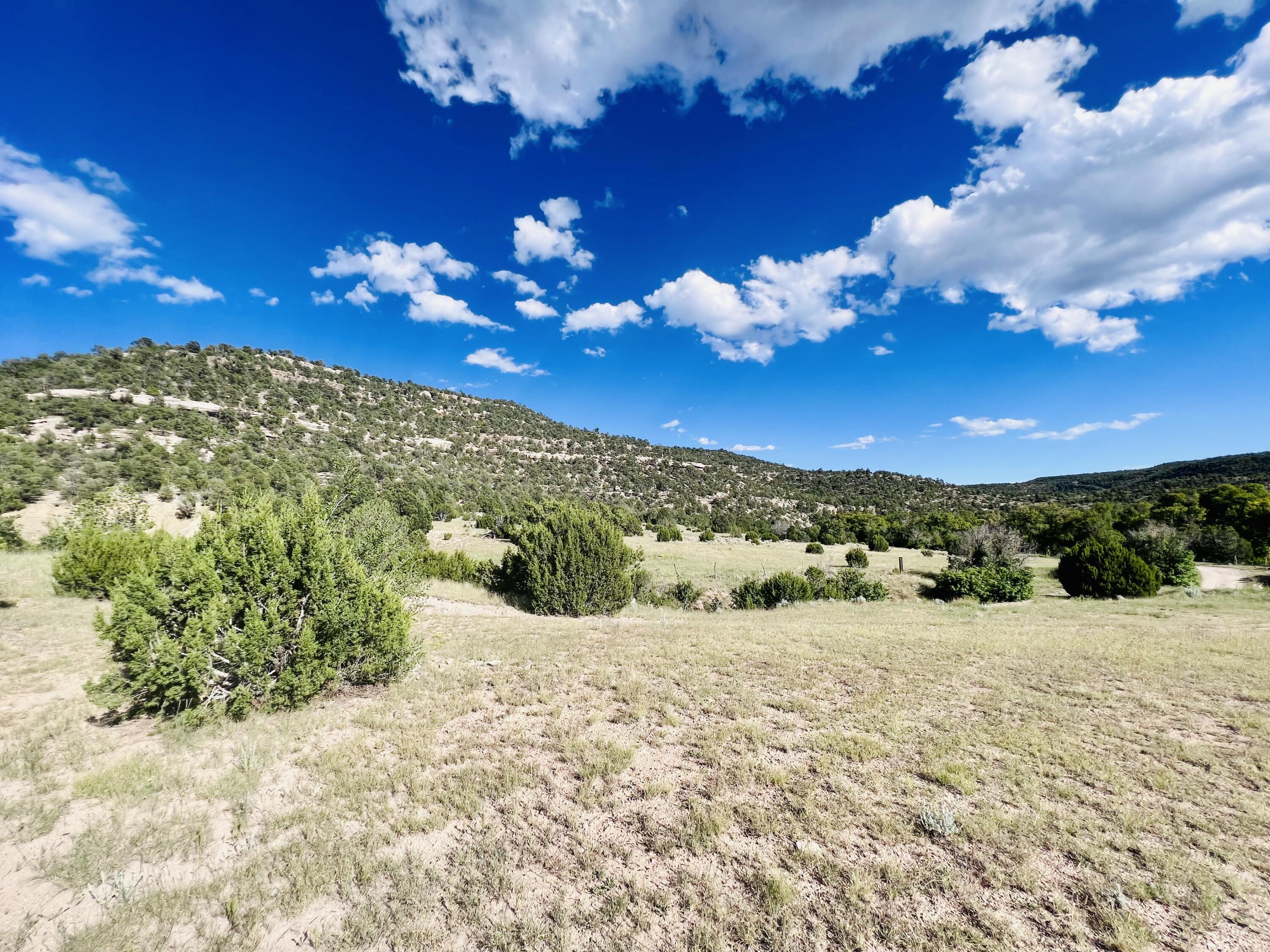 642 Co Rd B43b, Ilfeld, New Mexico image 10