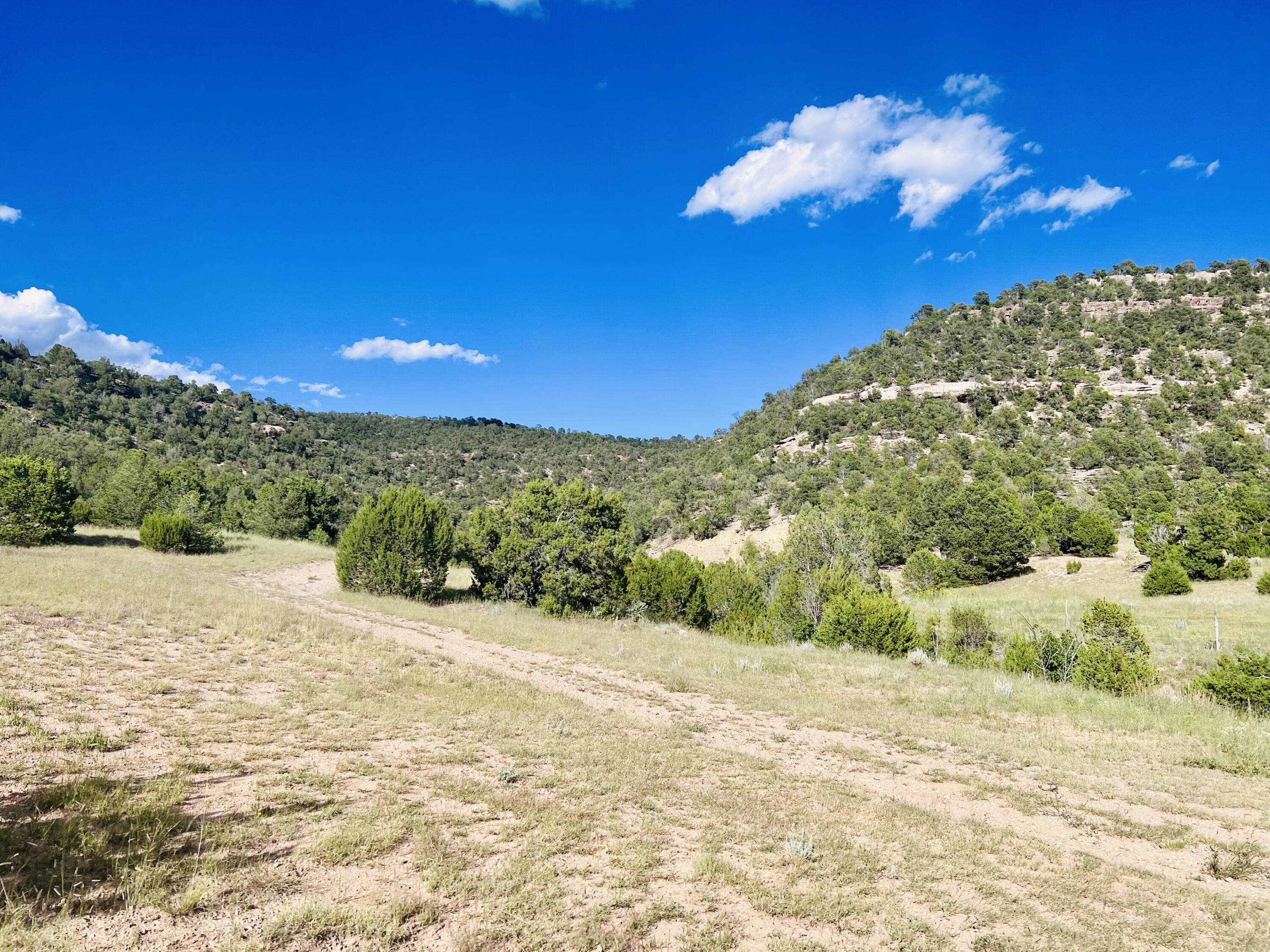 642 Co Rd B43b, Ilfeld, New Mexico image 11