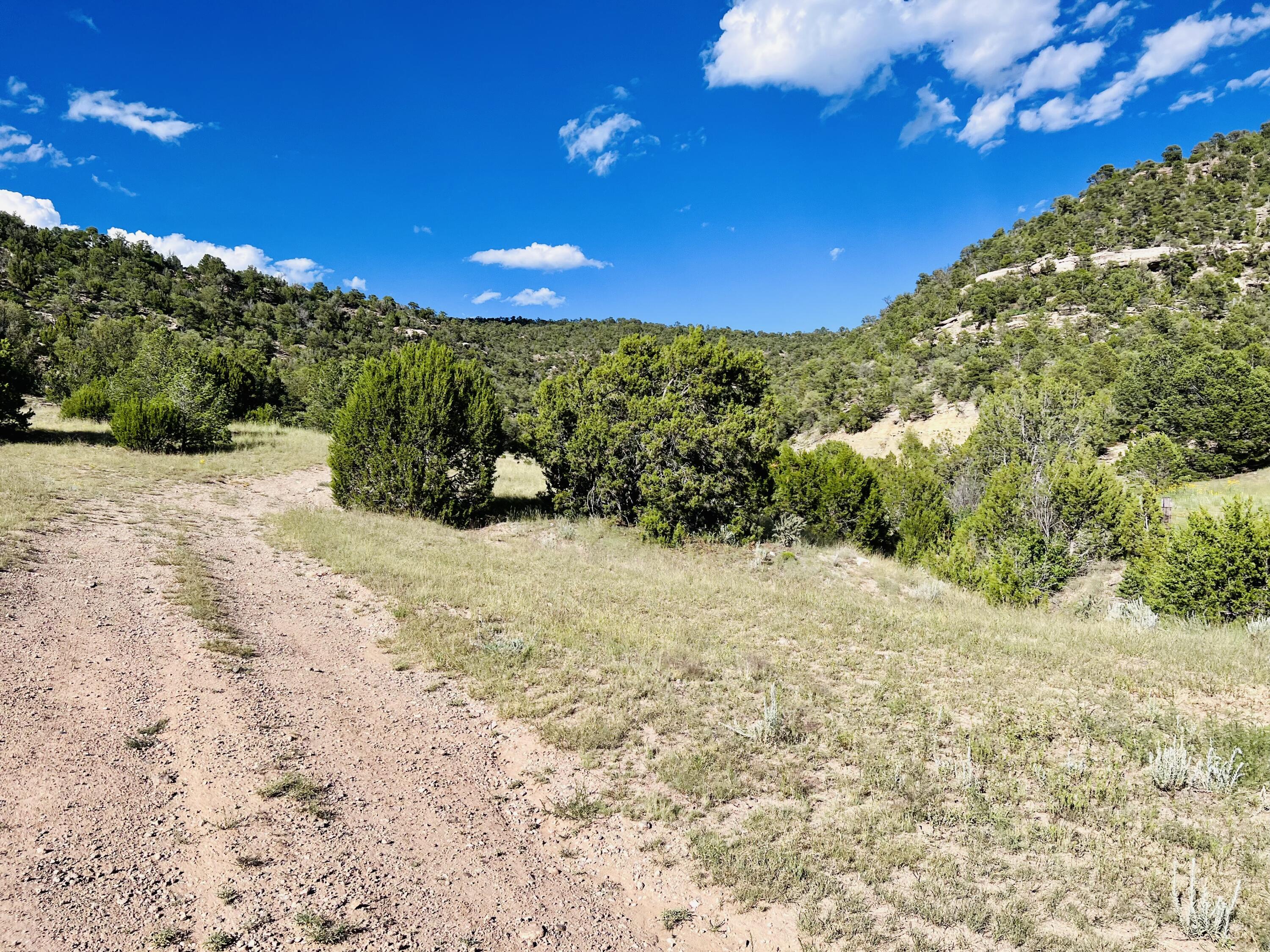 642 Co Rd B43b, Ilfeld, New Mexico image 5