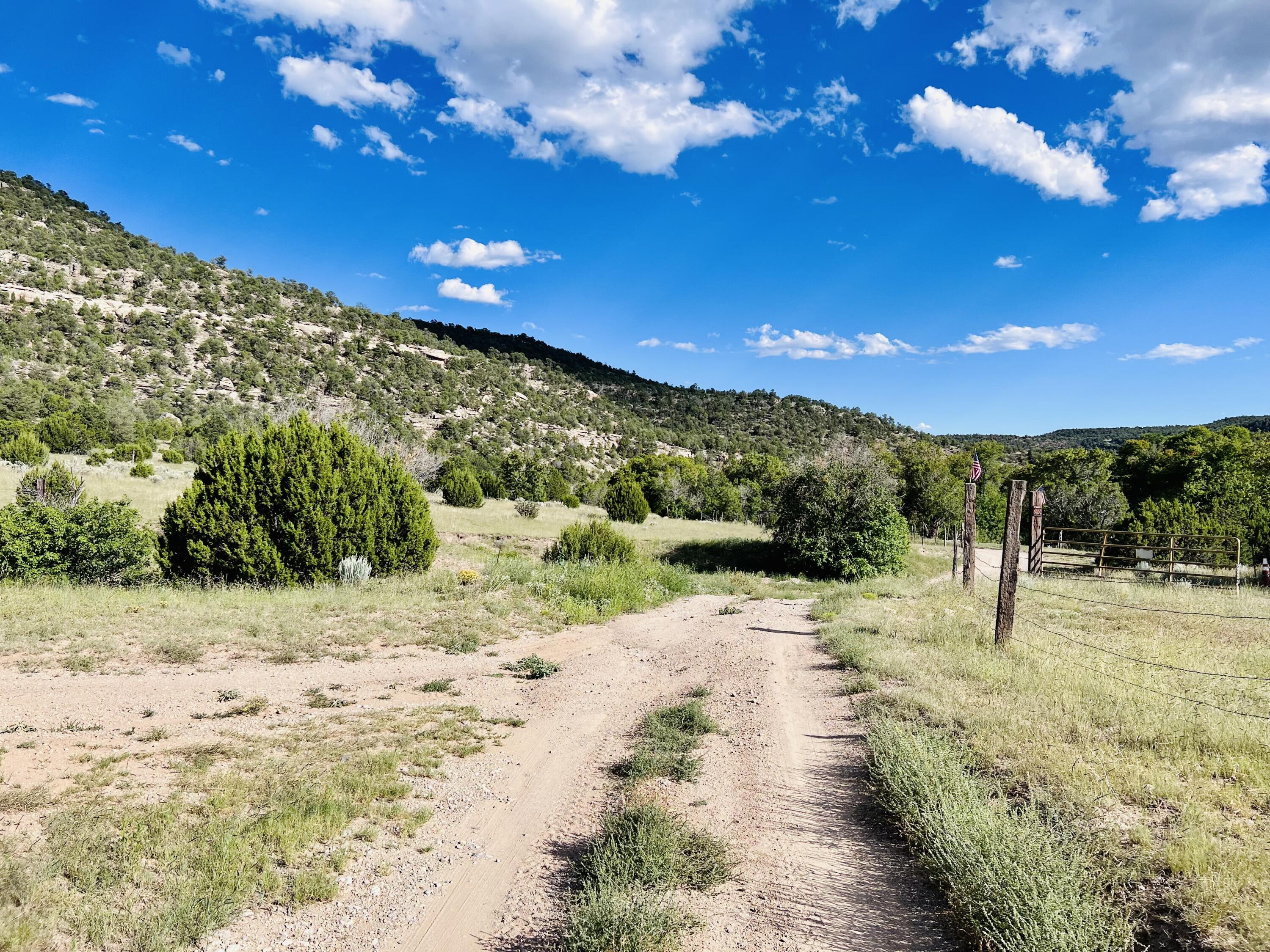 642 Co Rd B43b, Ilfeld, New Mexico image 3