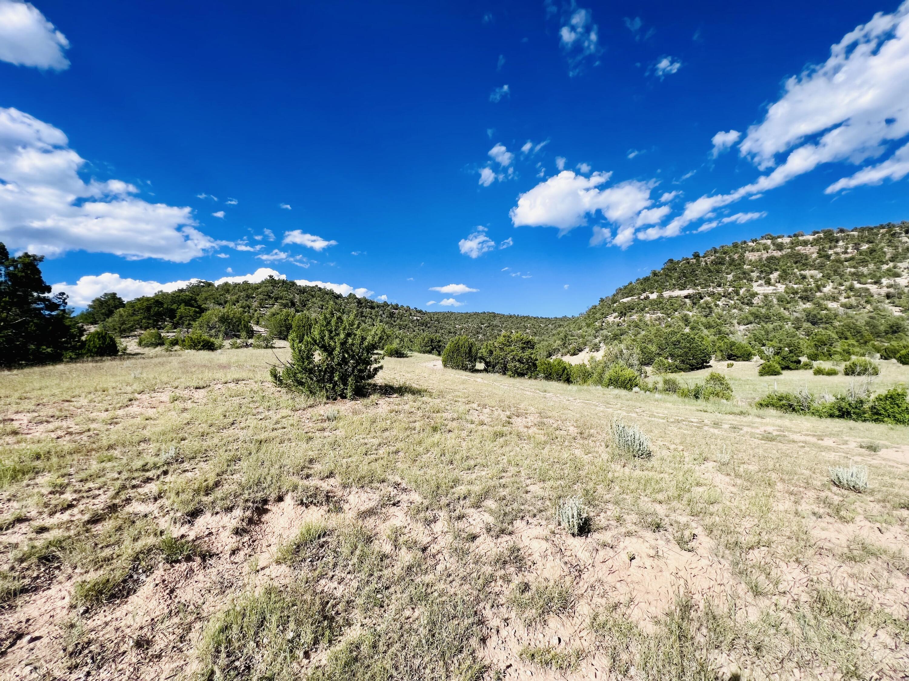 642 Co Rd B43b, Ilfeld, New Mexico image 2