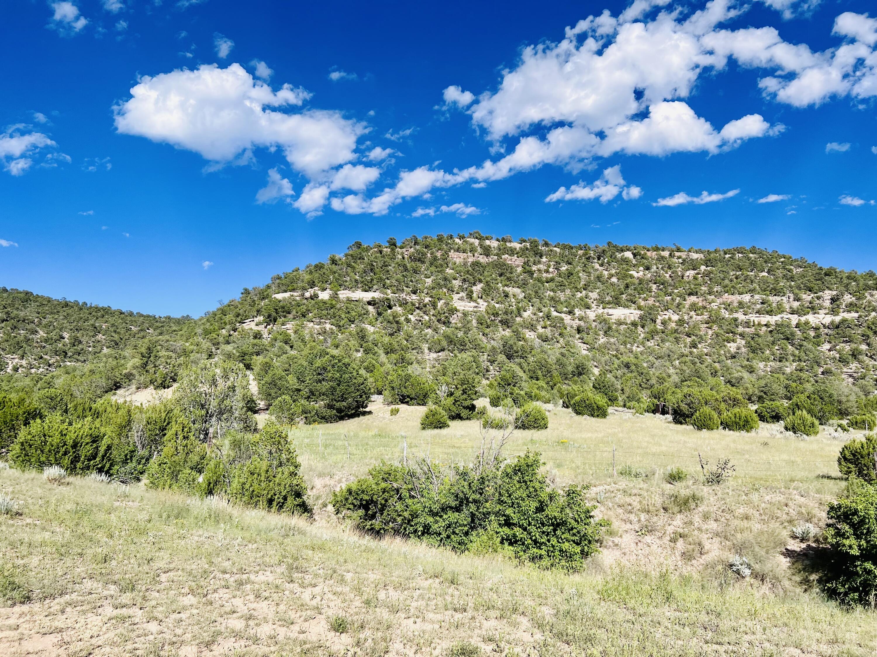 642 Co Rd B43b, Ilfeld, New Mexico image 4