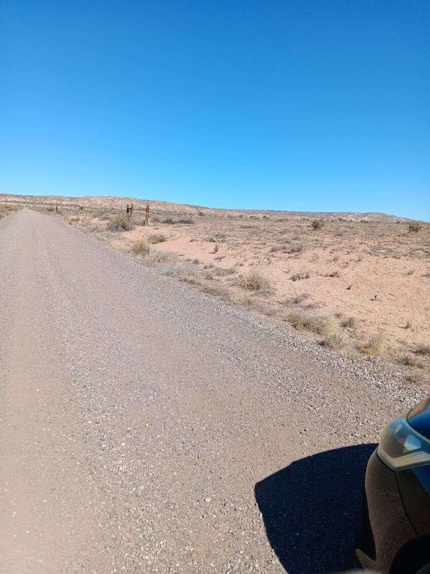 Canyon Drive