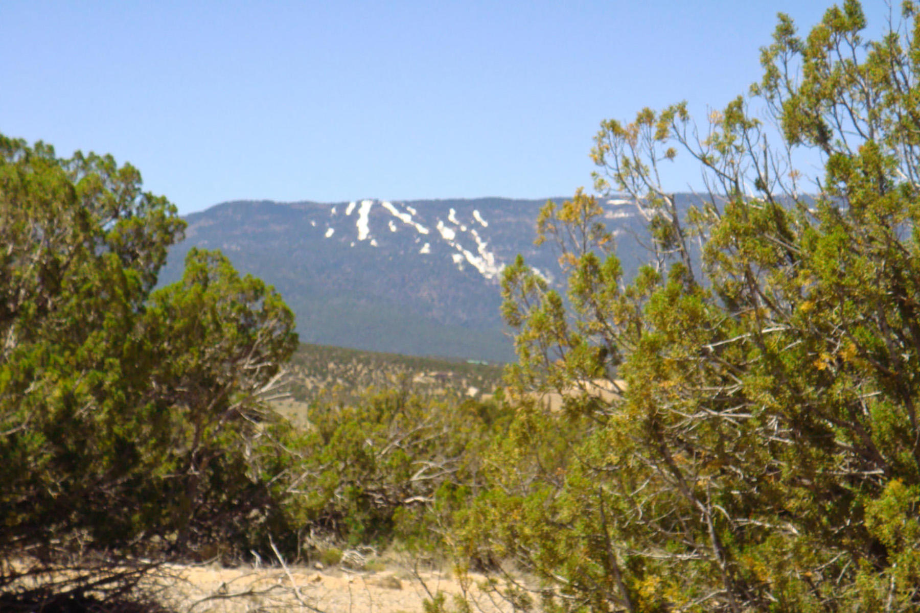 57 Cottonwood Trail, Sandia Park, New Mexico image 10