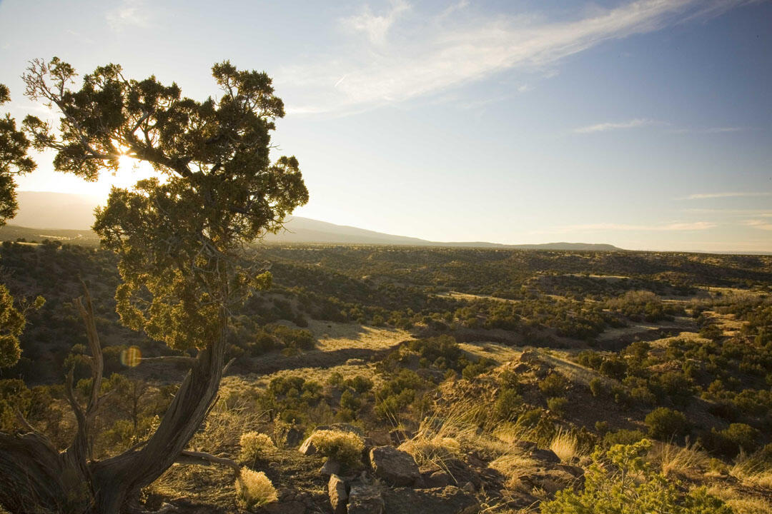 57 Cottonwood Trail, Sandia Park, New Mexico image 6