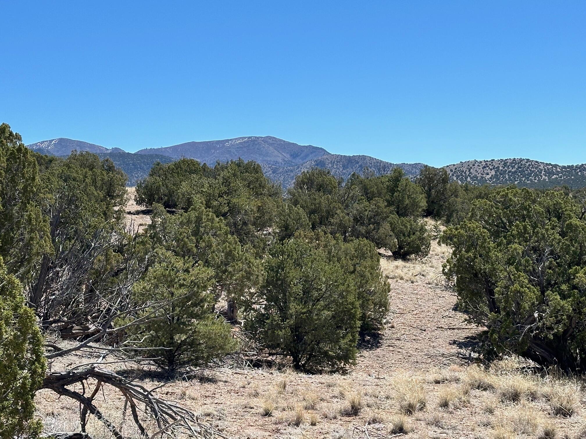 57 Cottonwood Trail, Sandia Park, New Mexico image 3