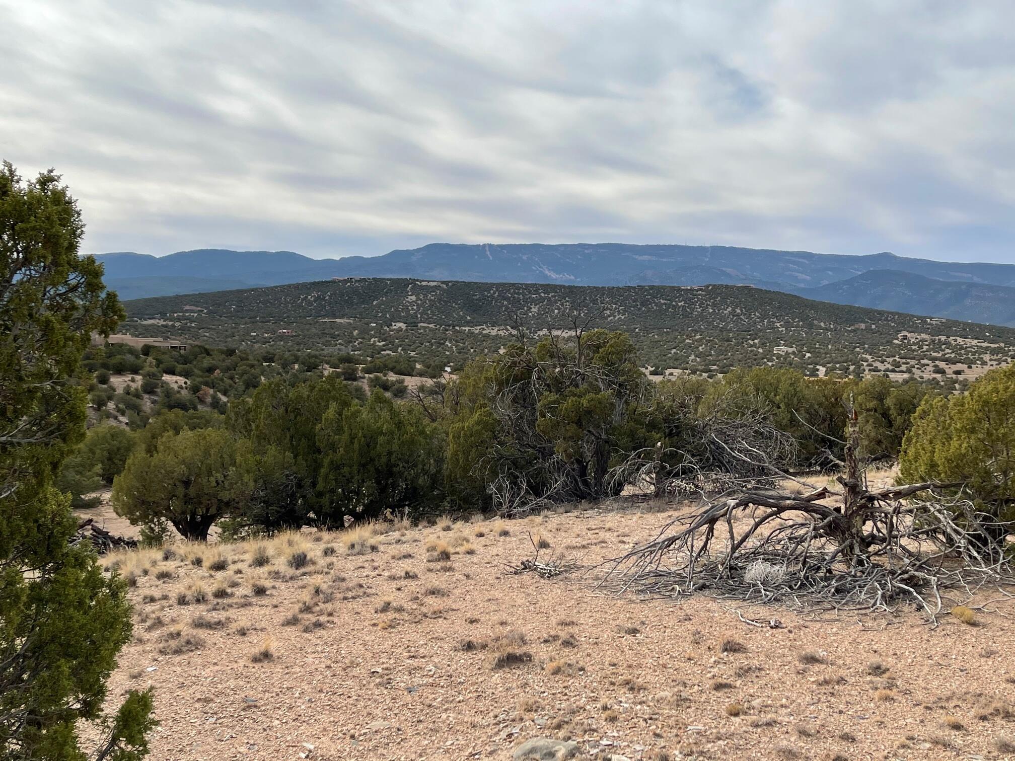 57 Cottonwood Trail, Sandia Park, New Mexico image 16