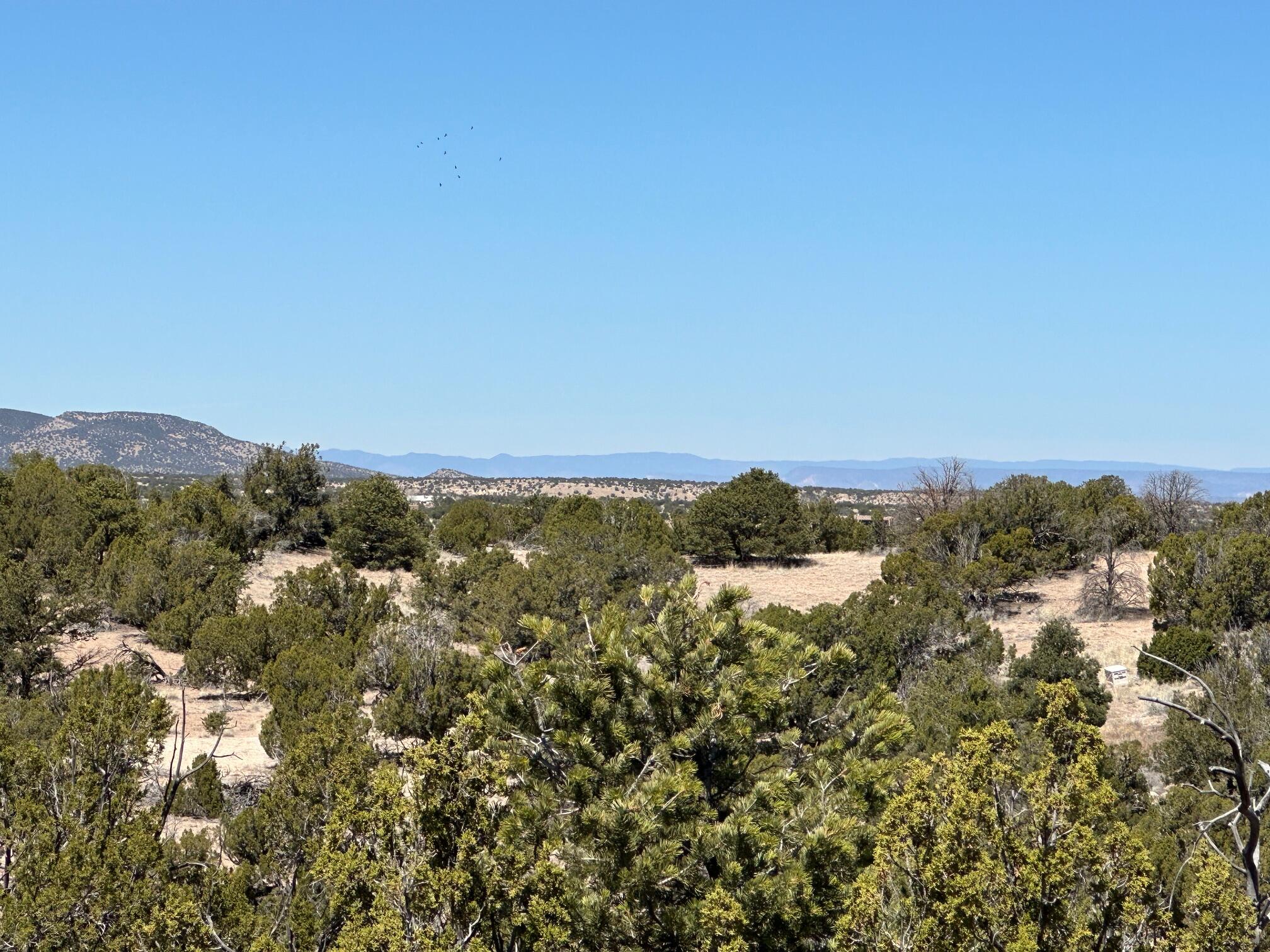 57 Cottonwood Trail, Sandia Park, New Mexico image 8