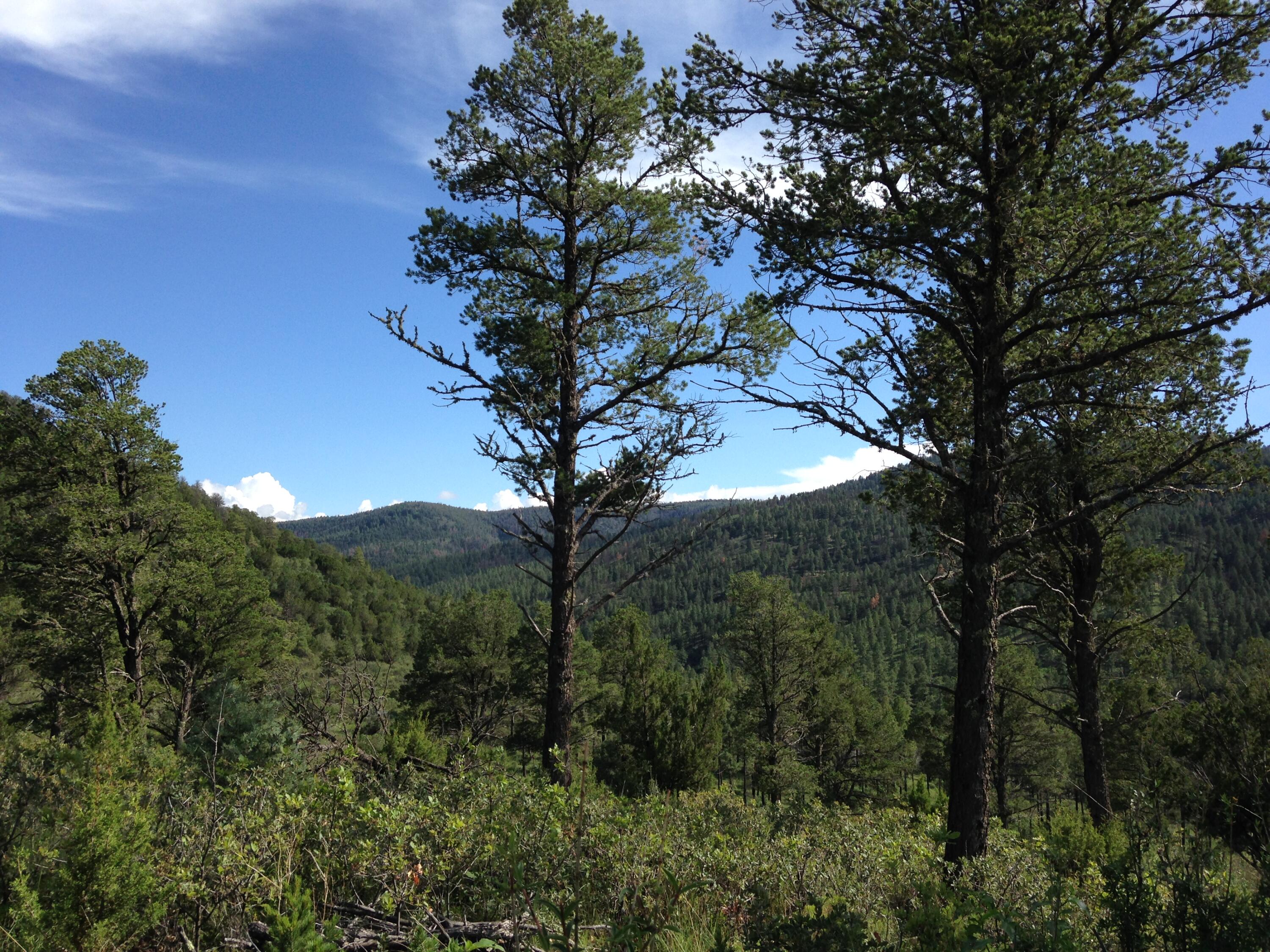 Us Highway 70, Ruidoso Downs, New Mexico image 20