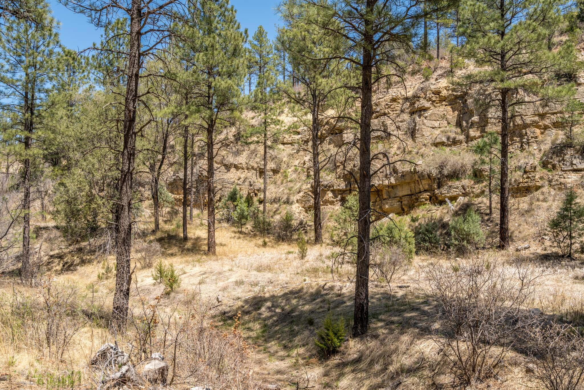 Us Highway 70, Ruidoso Downs, New Mexico image 5