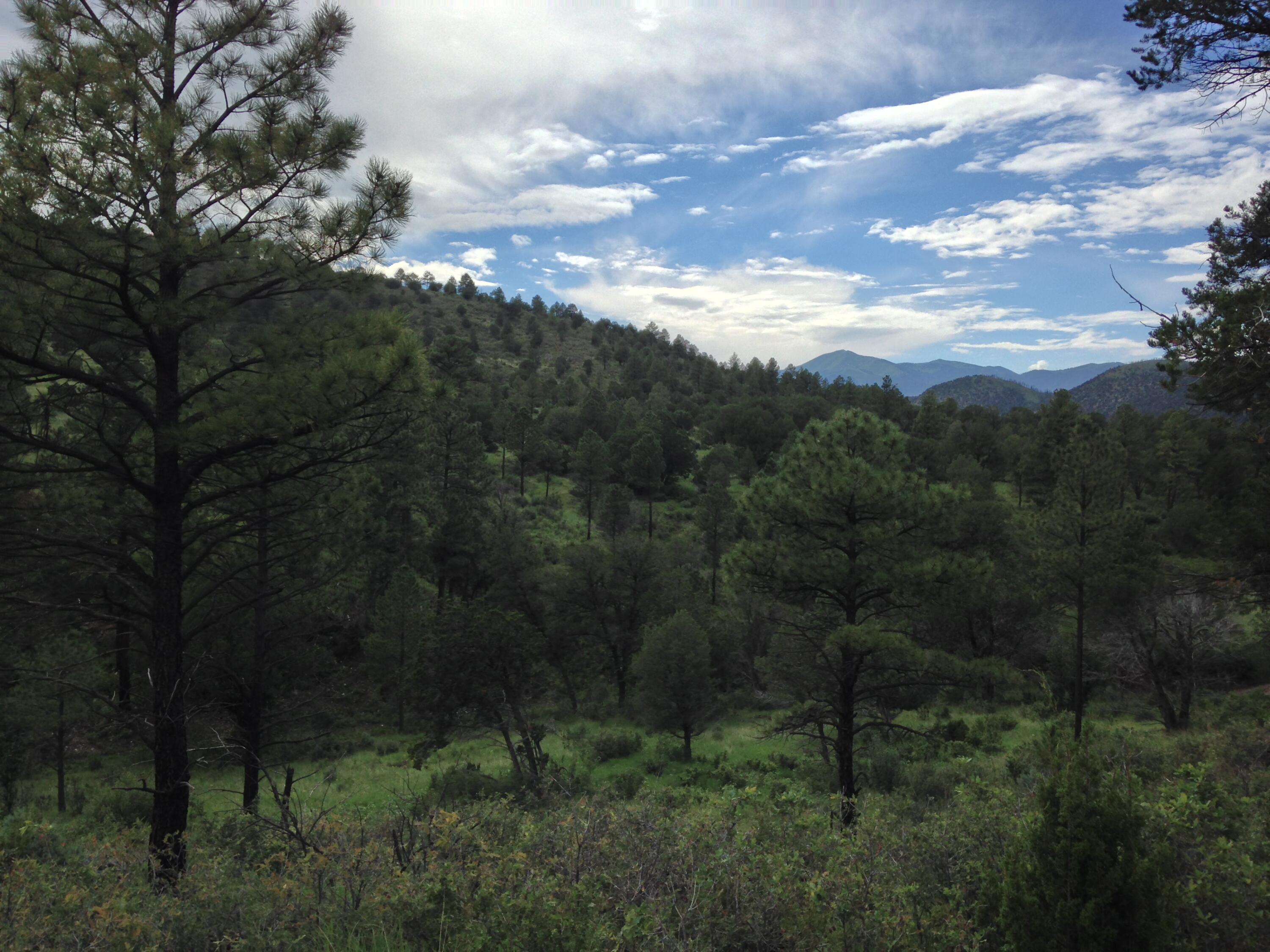 Us Highway 70, Ruidoso Downs, New Mexico image 19