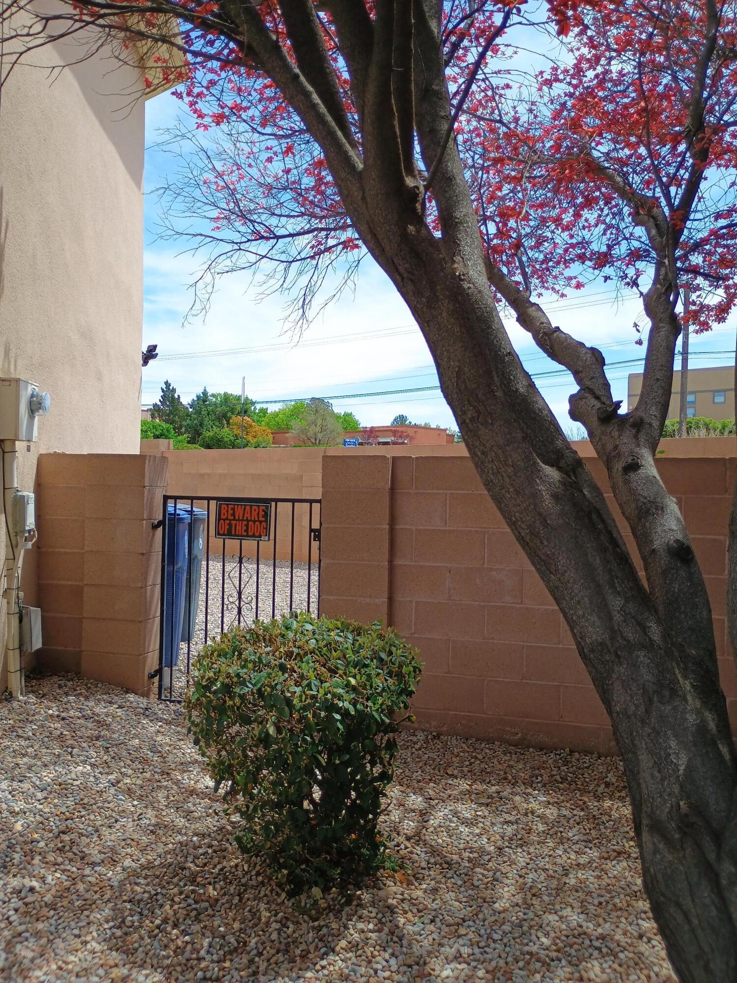 4220 Altura Mesa Lane, Albuquerque, New Mexico image 18