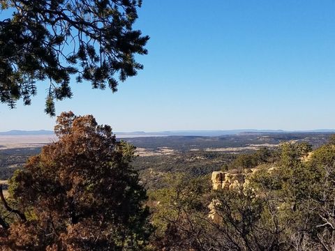 Vacant Land For Sale - 7 Cebolla Canyon Road<br/> Pie Town, NM 87827