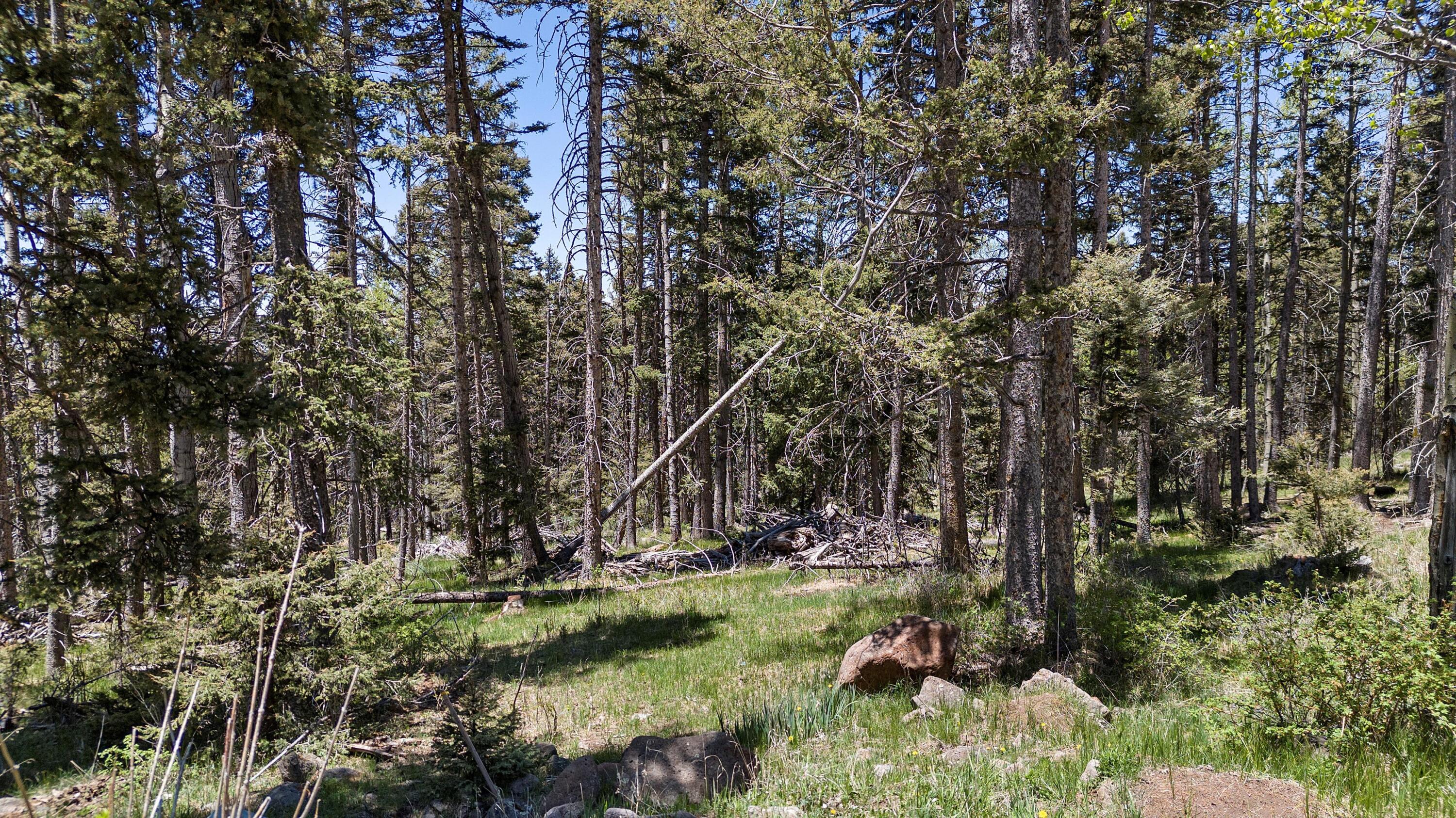 Lot 1267 Starlight Overlook, Angel Fire, New Mexico image 13