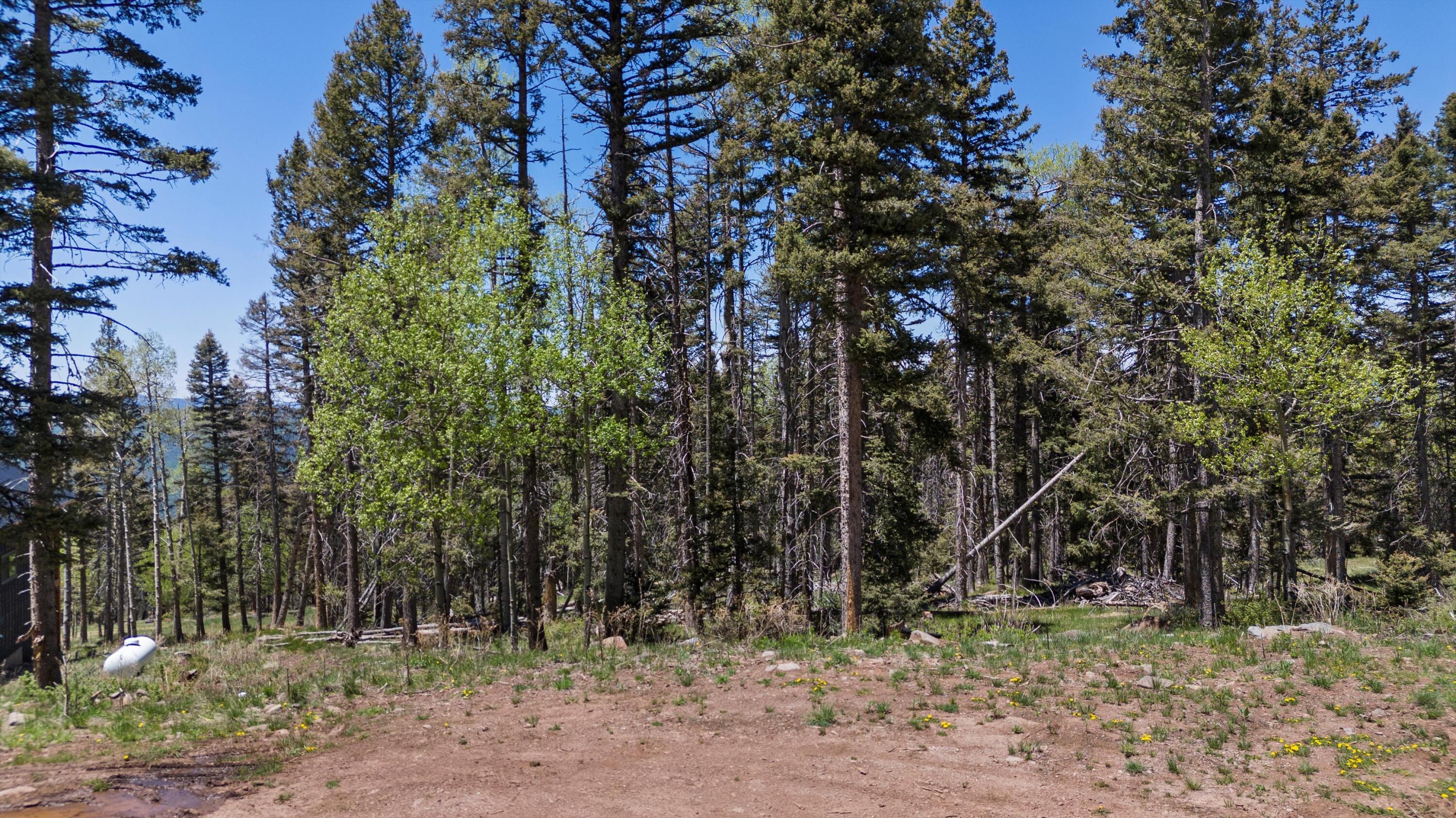 Lot 1267 Starlight Overlook, Angel Fire, New Mexico image 3