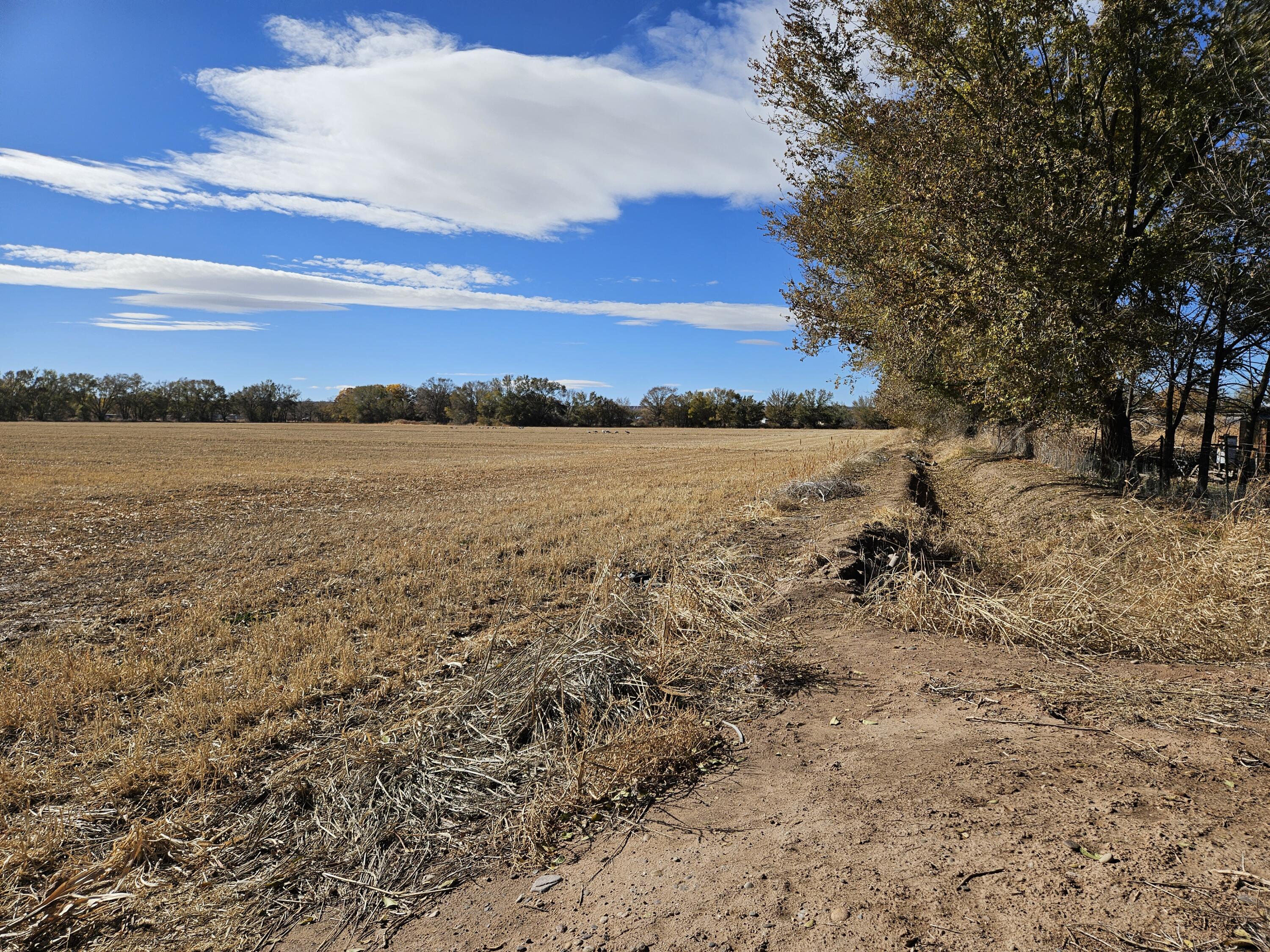 Padilla Road, Belen, New Mexico image 1