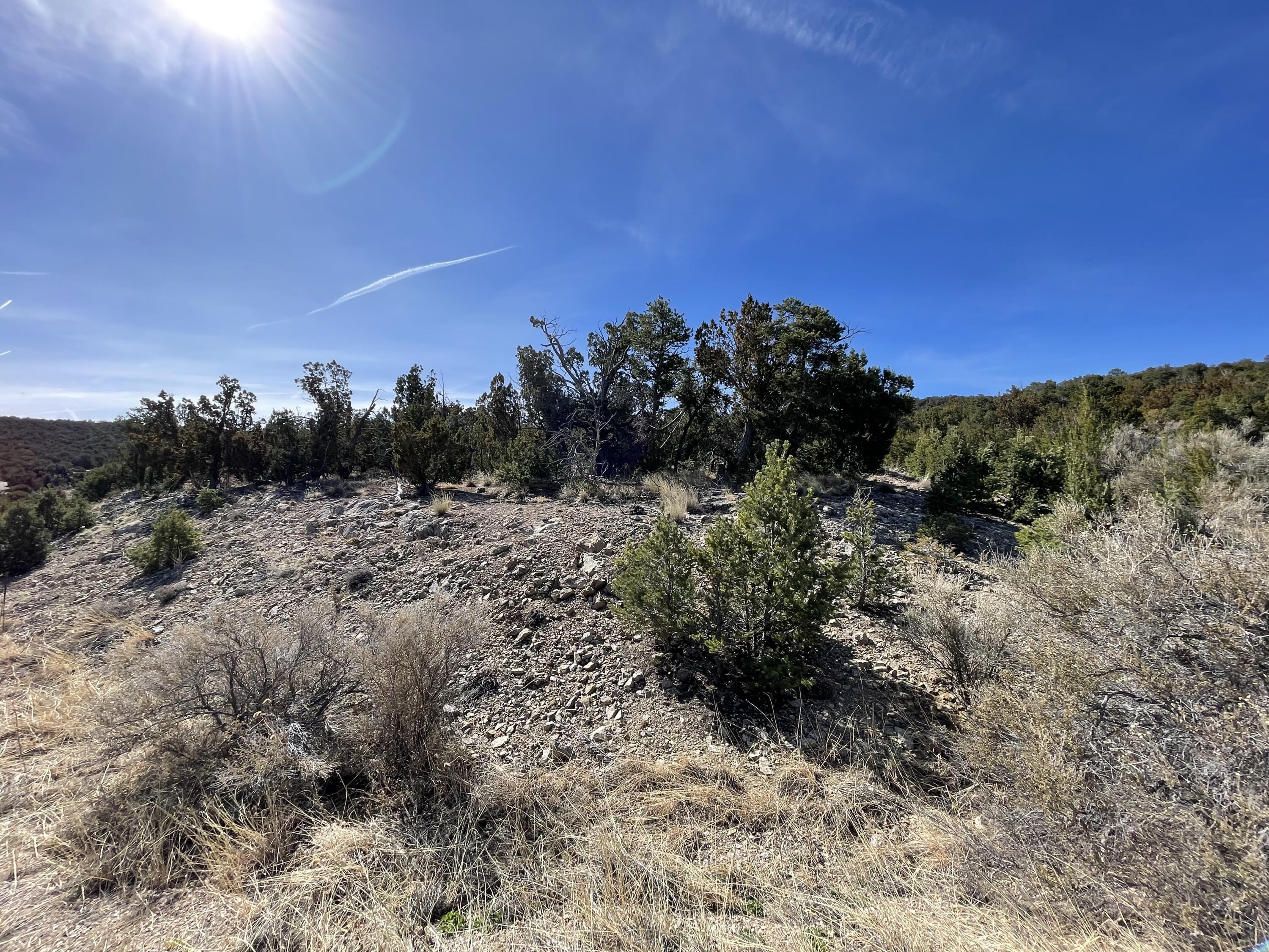 41 Canon Escondido Place, Sandia Park, New Mexico image 6
