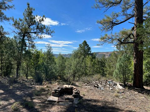Vacant Land For Sale - 18 Quail Drive<br/> Mckinley County, Ramah, NM 87321