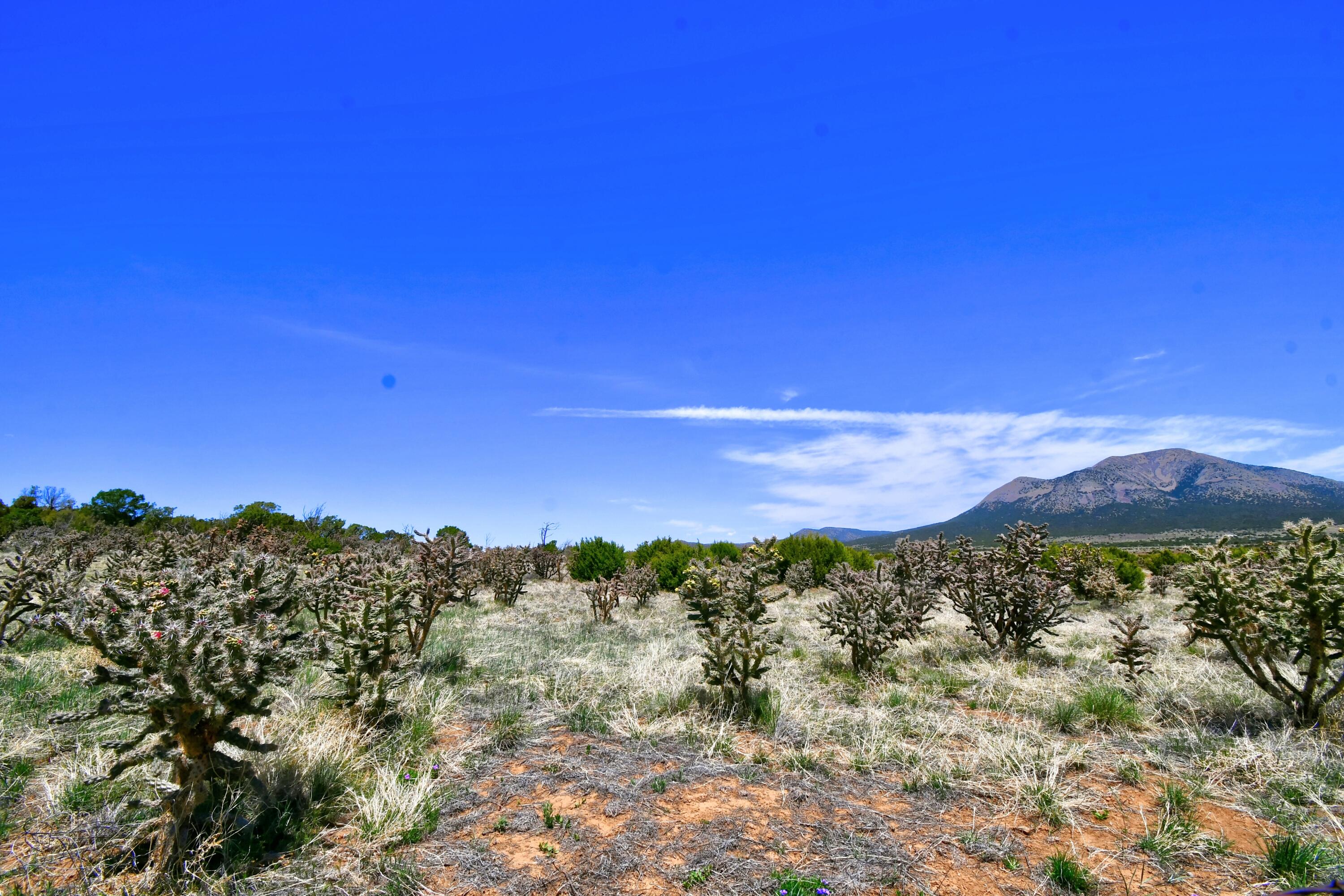 201 Entranosa/ Lot 2 Road, Edgewood, New Mexico image 1