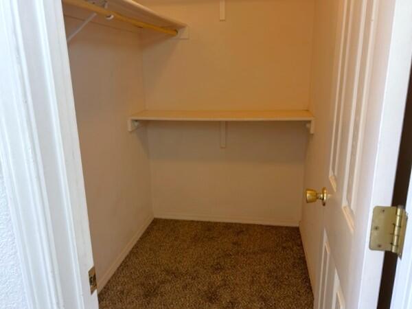 700 Sean Avenue, Socorro, New Mexico image 10