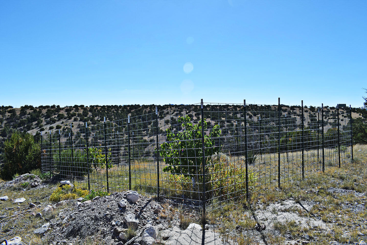 202 Ridge View Road, Magdalena, New Mexico image 49