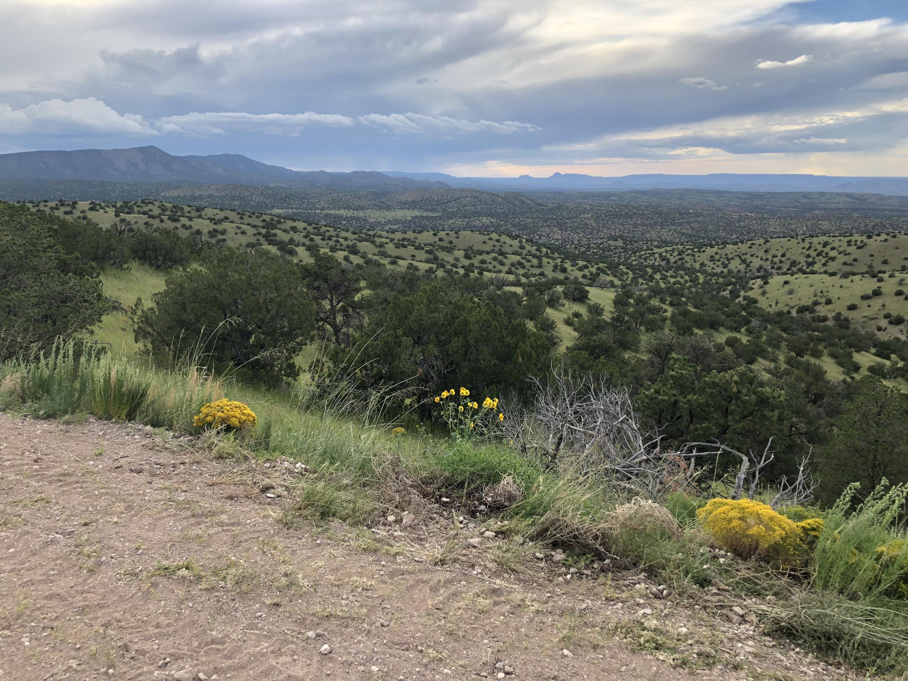 202 Ridge View Road, Magdalena, New Mexico image 8