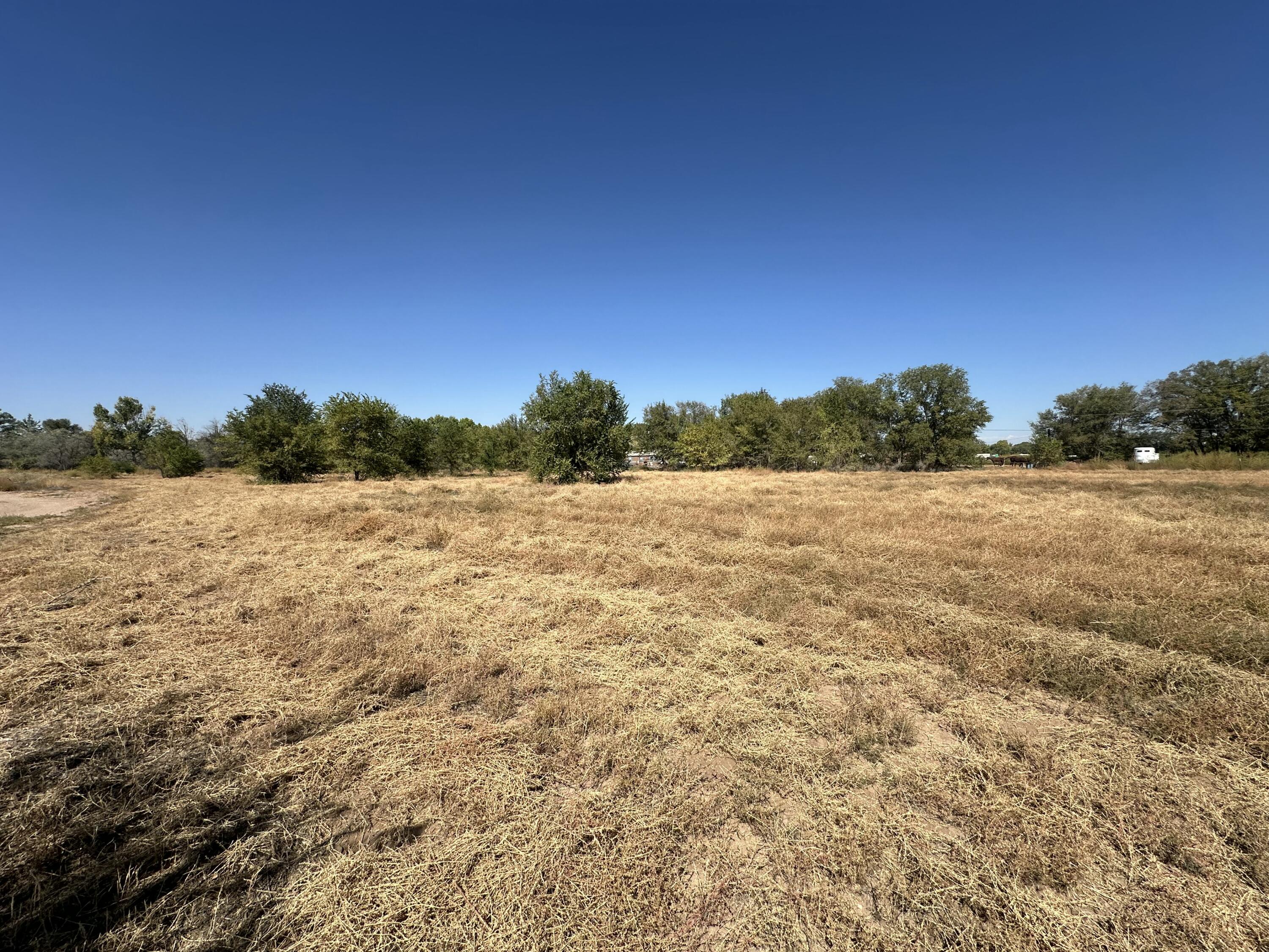 Lot 7a Ross Lane, Los Lunas, New Mexico image 2