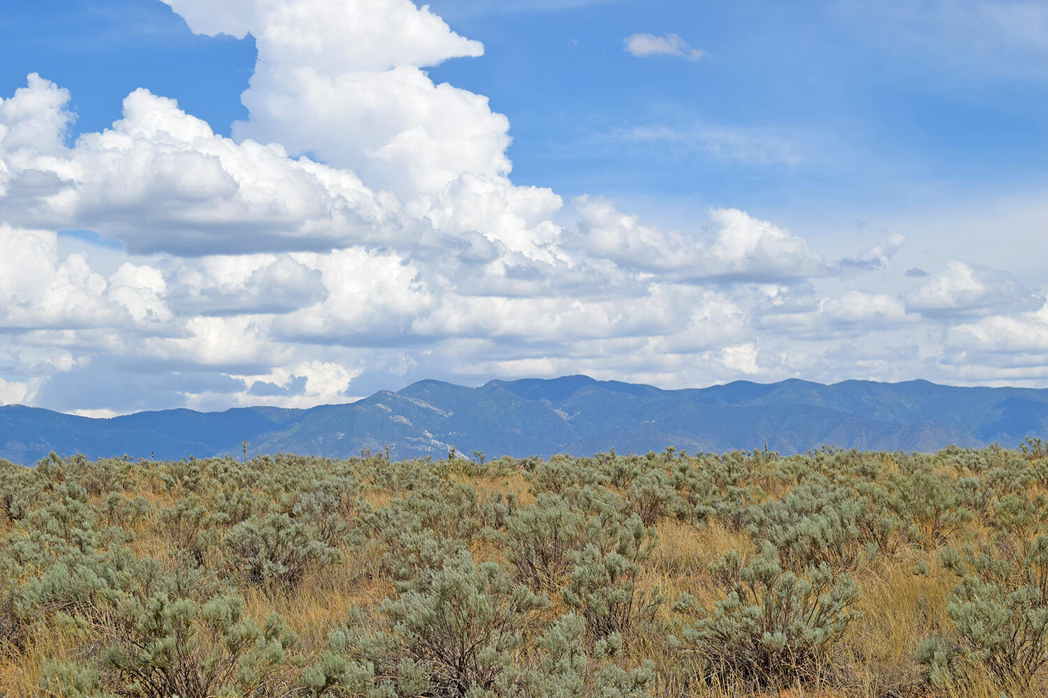 Lot 5 Rio Del Oro #7, Los Lunas, New Mexico image 25