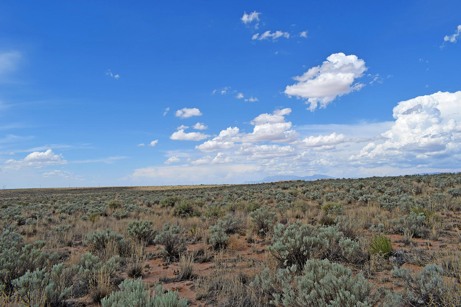 Lot 5 Rio Del Oro #7, Los Lunas, New Mexico image 15