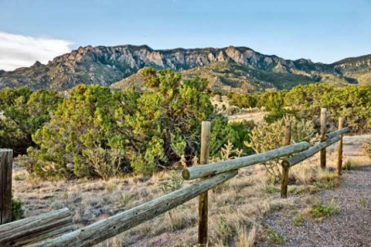 Escudo Drive, Belen, New Mexico image 6