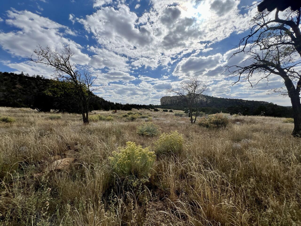 64 Milky Way Road, Ramah, New Mexico image 44