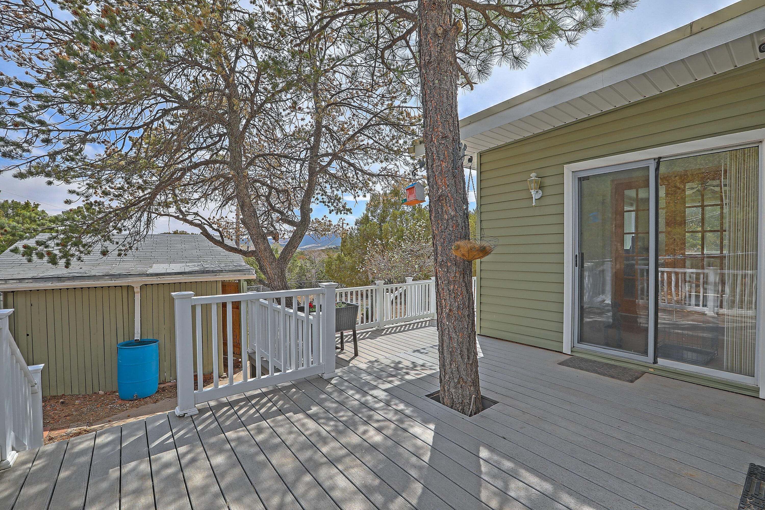 115 Matterhorn Drive, Cedar Crest, New Mexico image 38