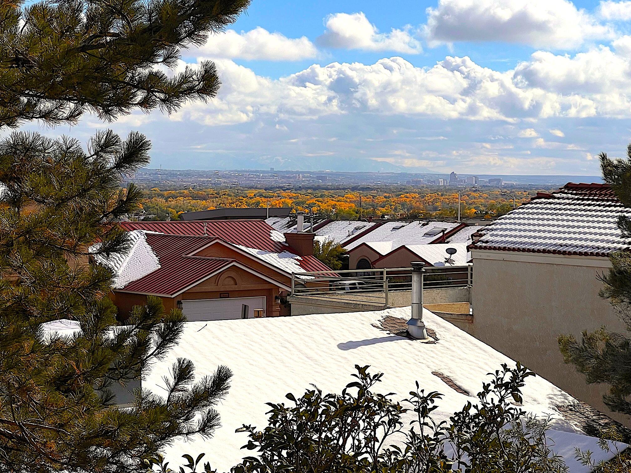 9728 Davenport Street, Albuquerque, New Mexico image 22