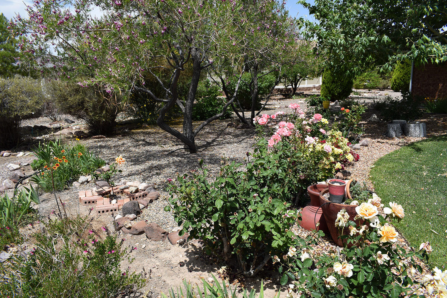 800 Jim Street, Socorro, New Mexico image 33