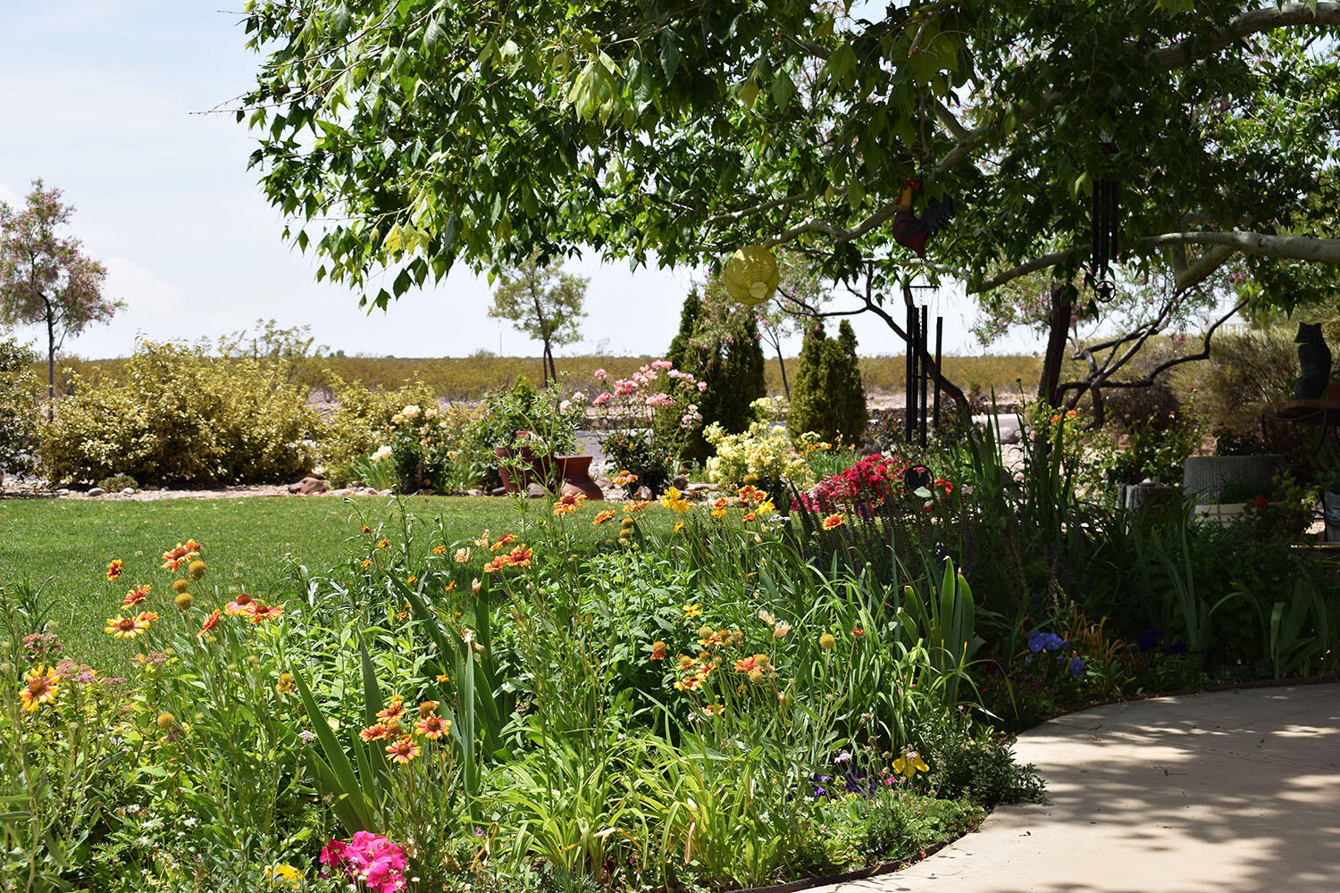 800 Jim Street, Socorro, New Mexico image 34