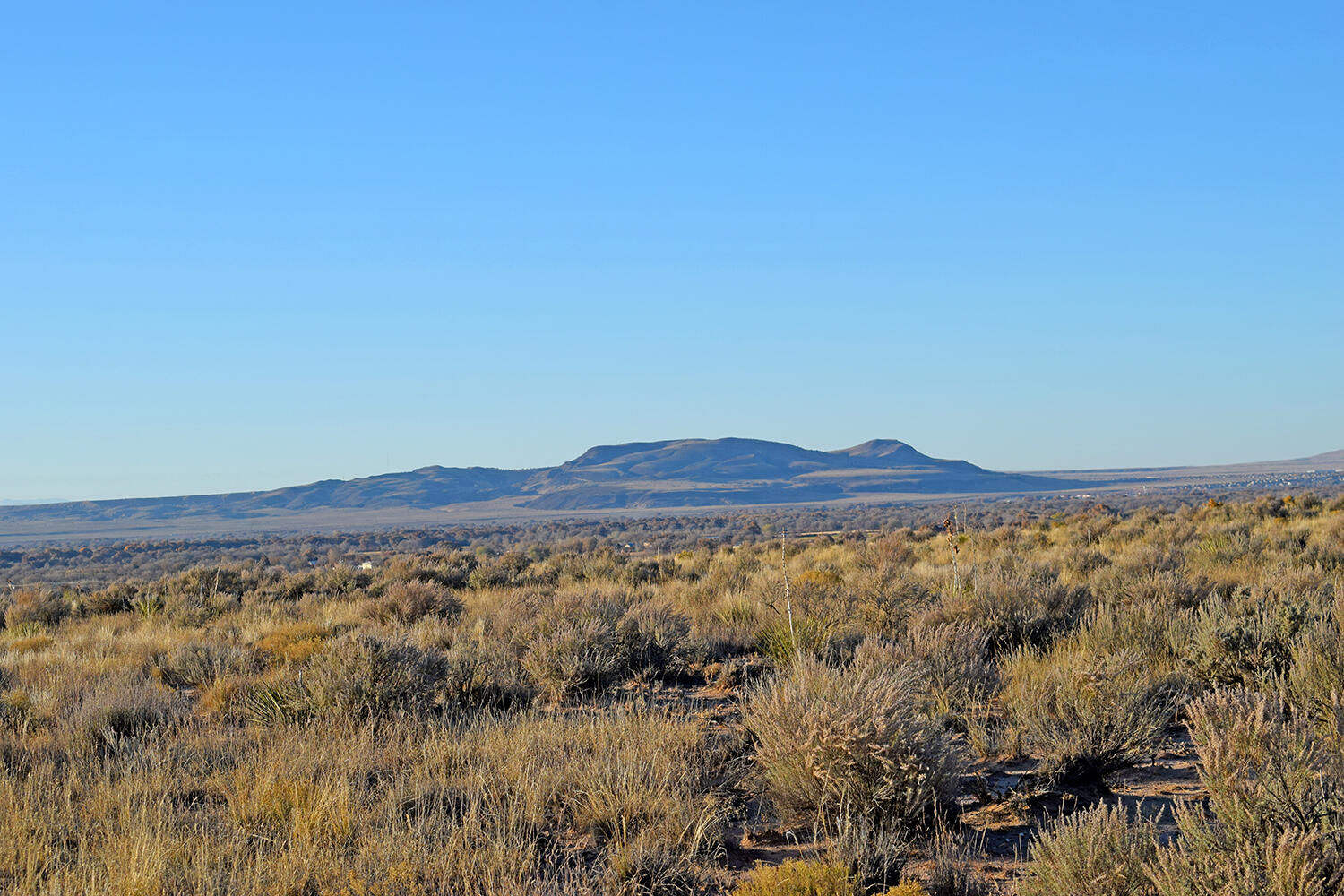 Lot 4 Rio Del Oro #61, Los Lunas, New Mexico image 5