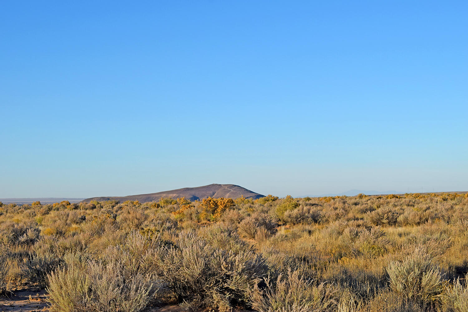 Lot 4 Rio Del Oro #61, Los Lunas, New Mexico image 7