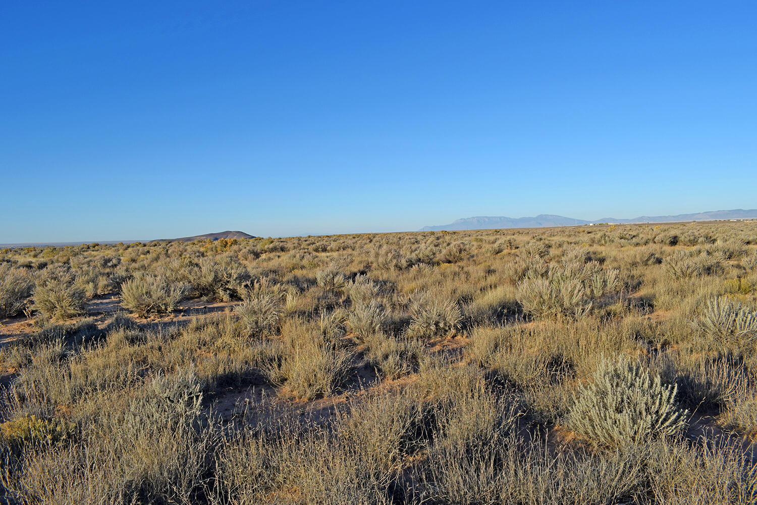 Lot 4 Rio Del Oro #61, Los Lunas, New Mexico image 1